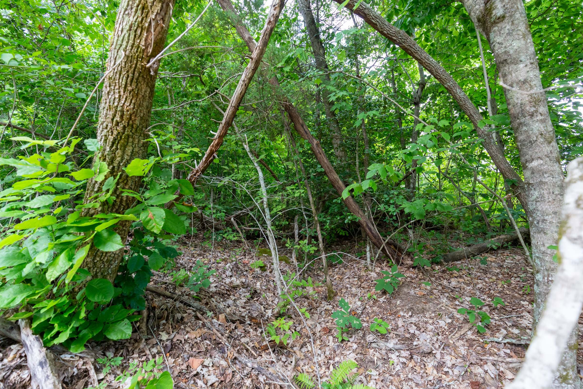 Tucker Hollow Tract 9 photo 5