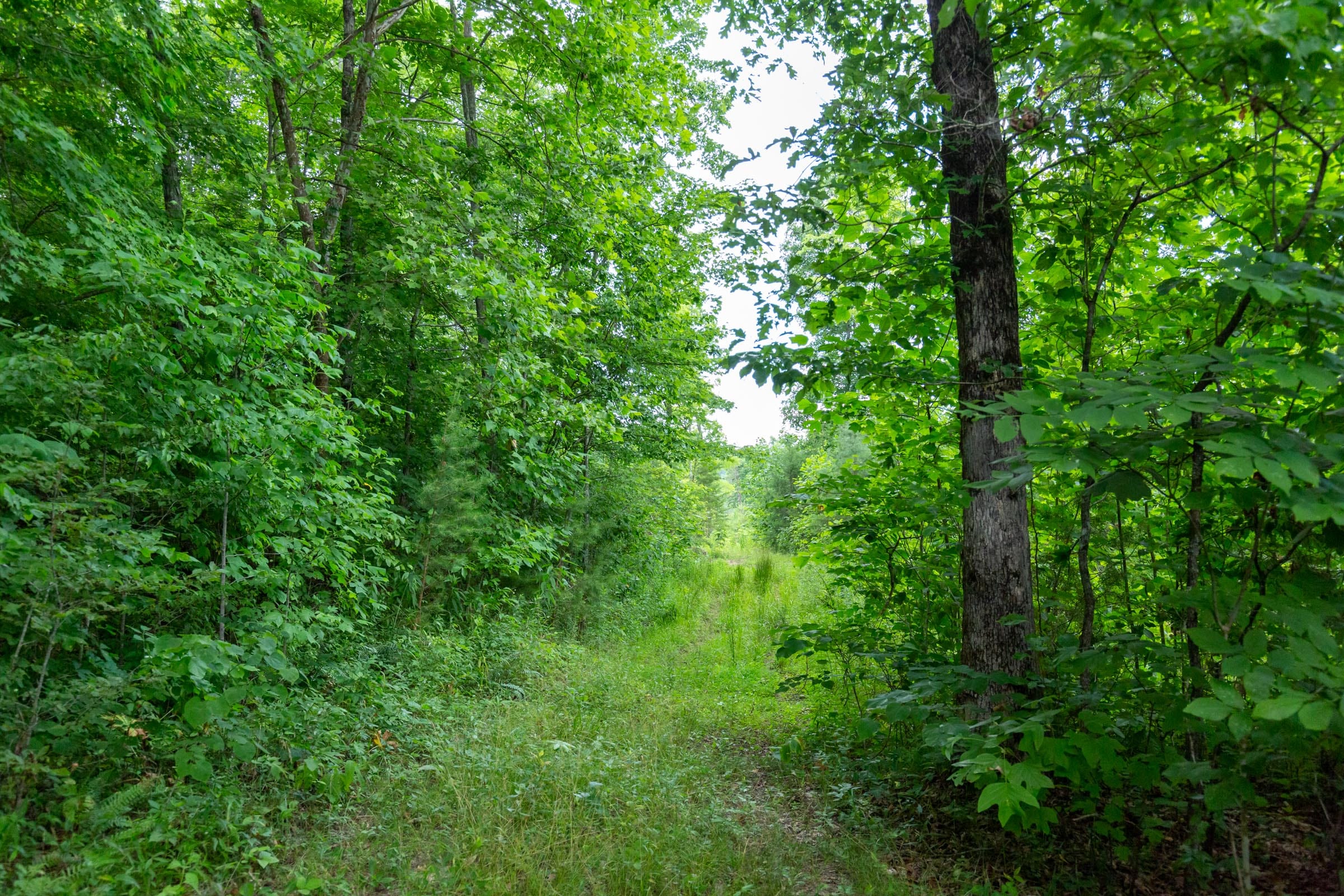 Tucker Hollow Tract 9 photo 1