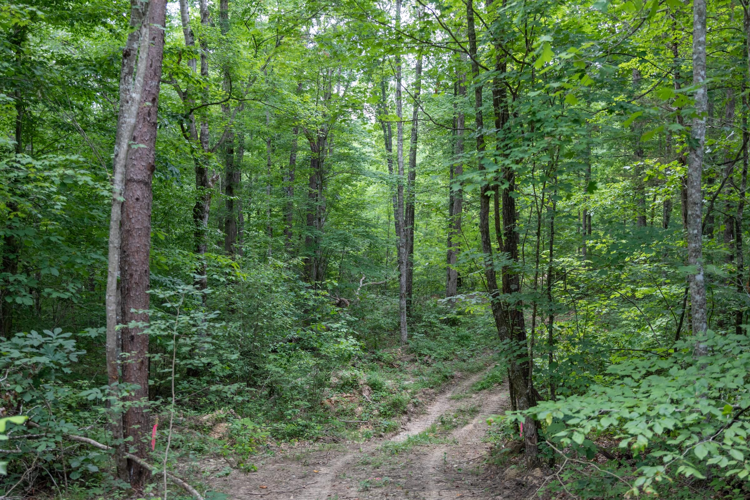 Tucker Hollow Tract 9 photo 2