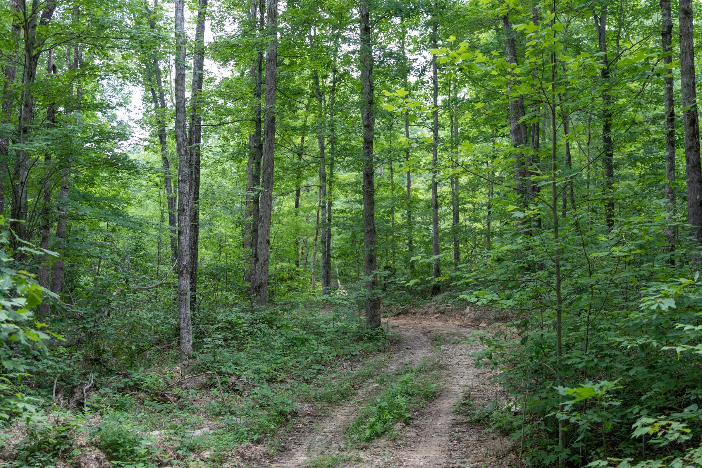Tucker Hollow Tract 9 photo 9