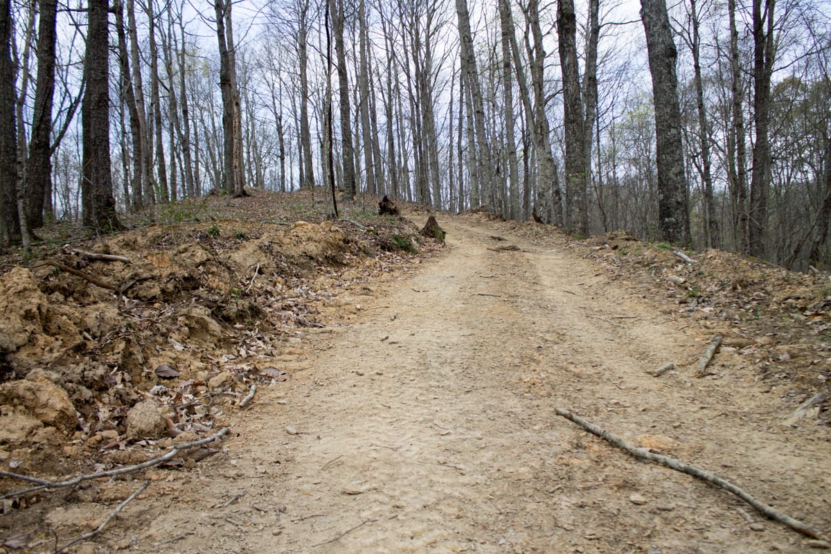 Chestnut Oak Ridge Tract 11 photo 1
