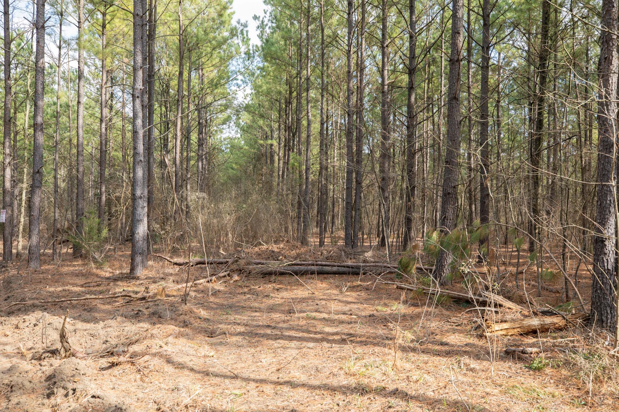 Wishing Star Ranch Tract 61 photo 5