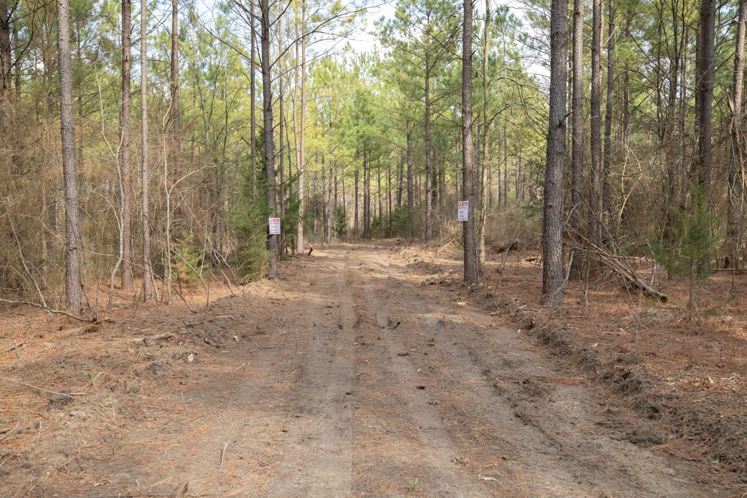 Wishing Star Ranch Tract 61 photo 3