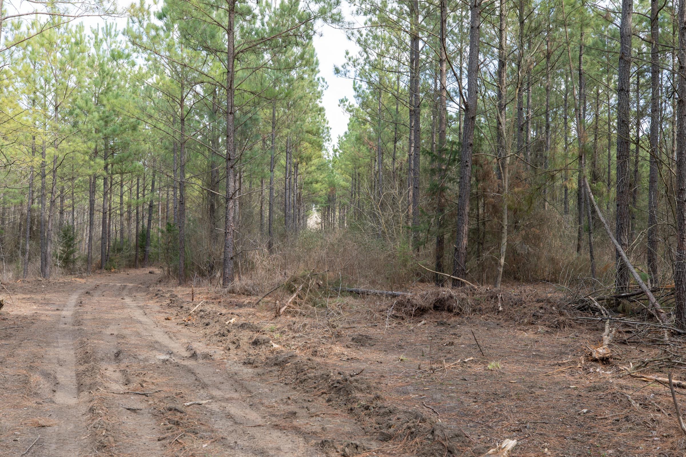 Wishing Star Ranch Tract 61 photo 7