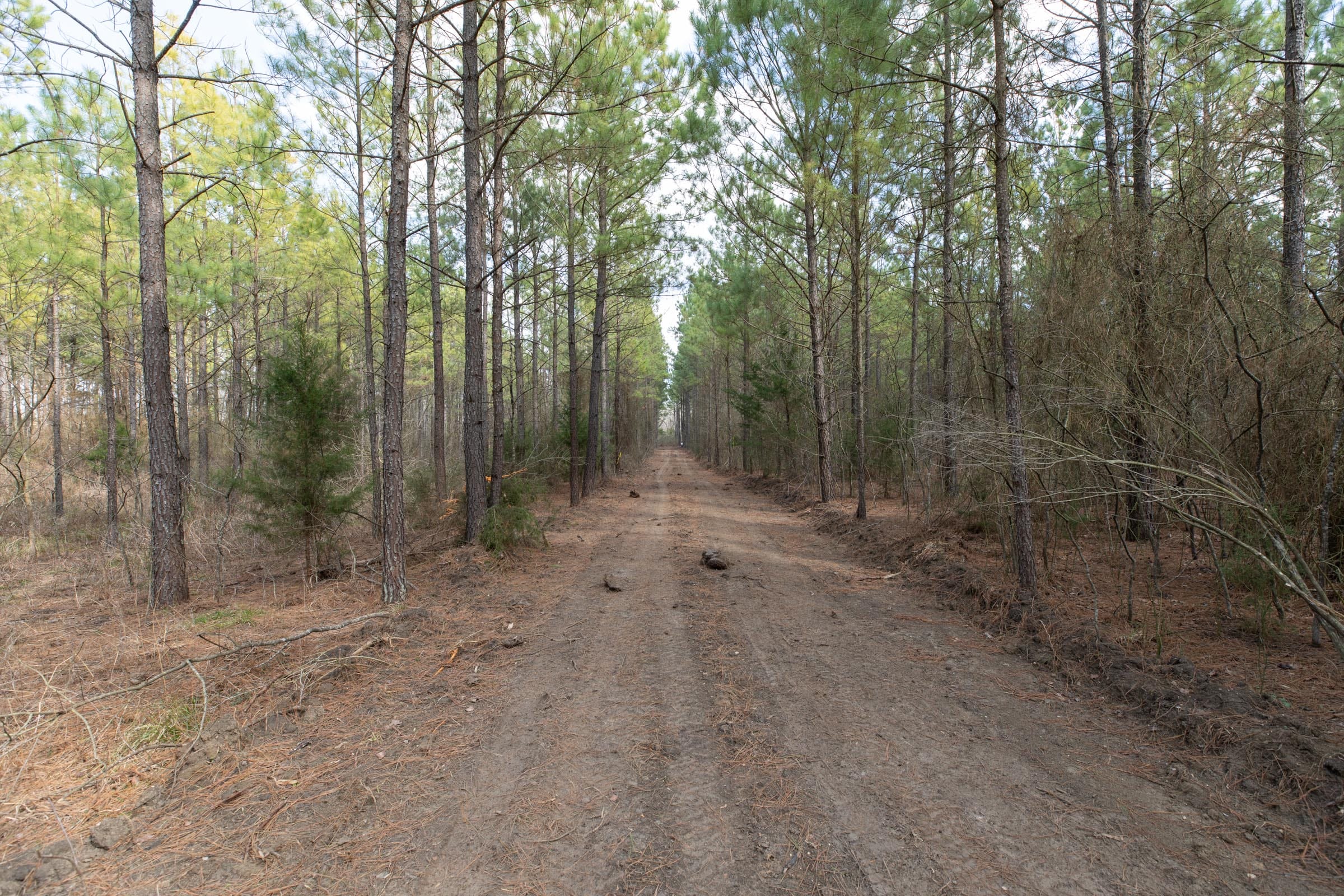 Wishing Star Ranch Tract 61 photo 8