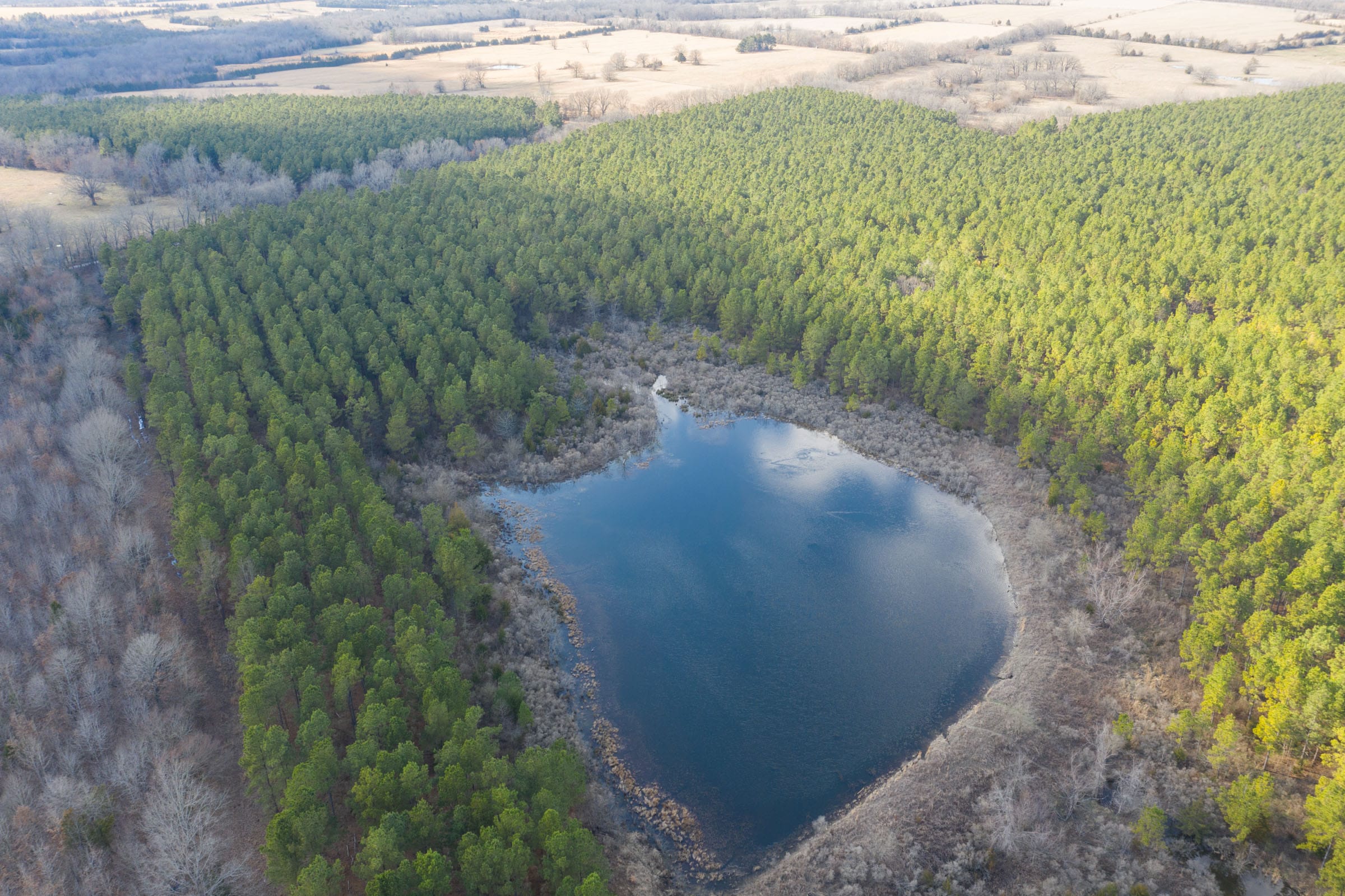 Wishing Star Ranch Tract 61 photo 2
