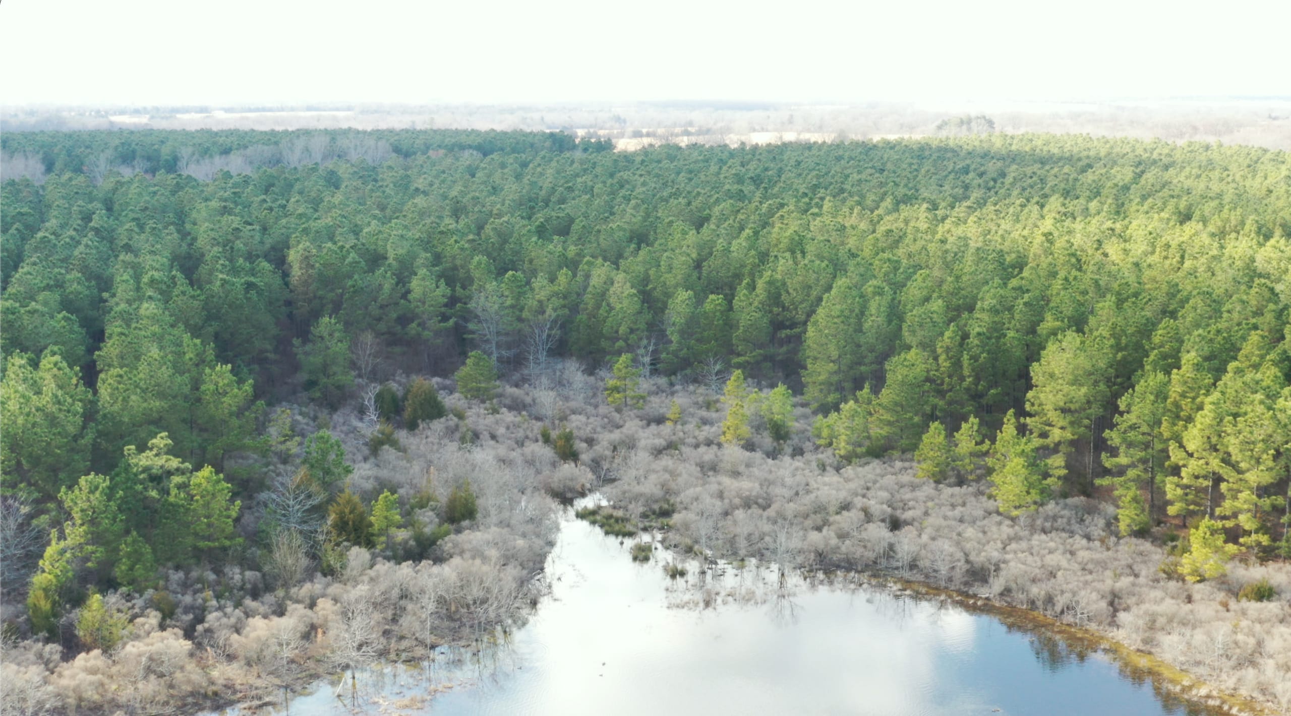 Wishing Star Ranch Tract 61 photo 10