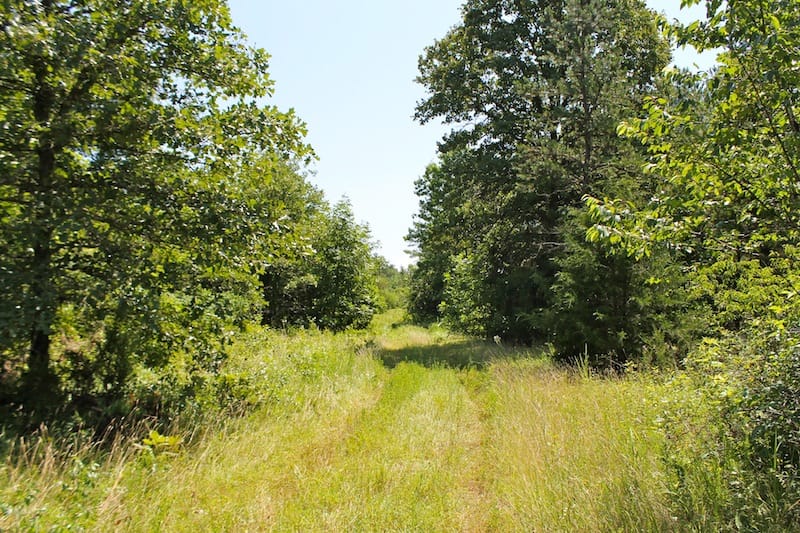 Green Mountain Ranch Tract 33 photo 5