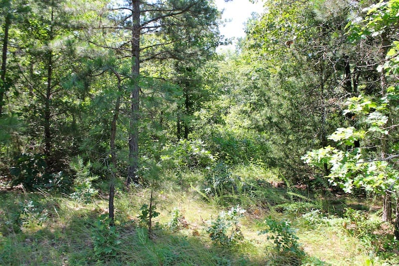 Green Mountain Ranch Tract 33 photo 6