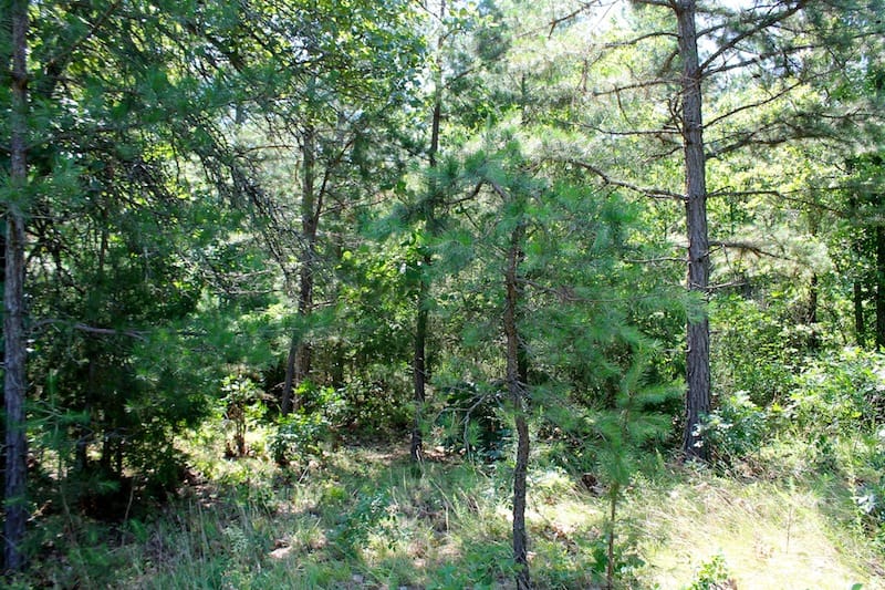Green Mountain Ranch Tract 33 photo 7