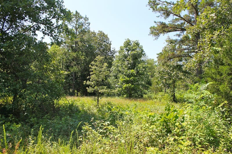 Green Mountain Ranch Tract 33 photo 9