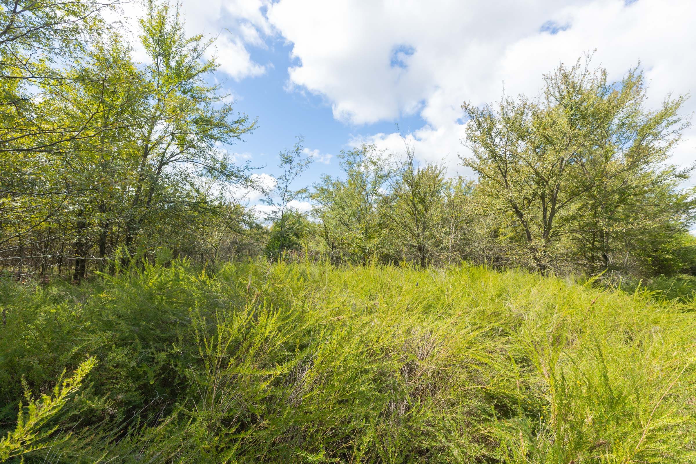 Reserves At Cattail Cove Phase II Tract 100 photo 12