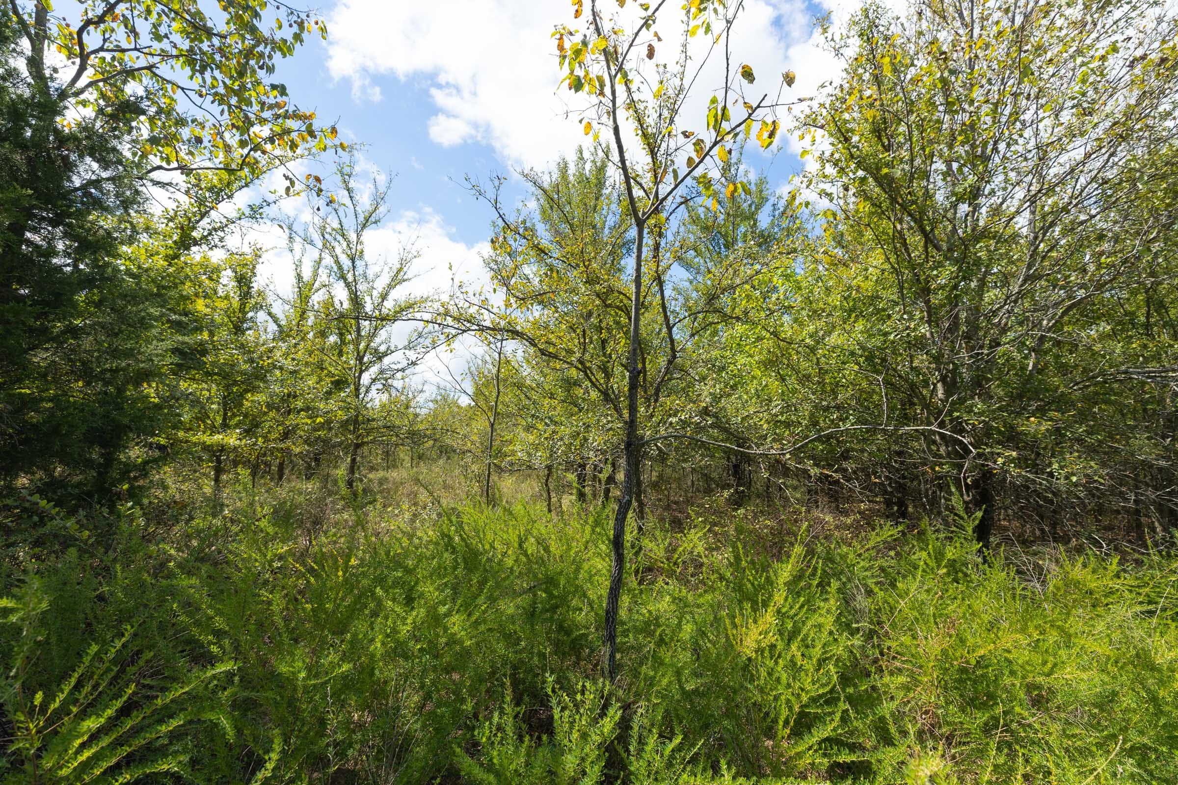 Reserves At Cattail Cove Phase II Tract 100 photo 11