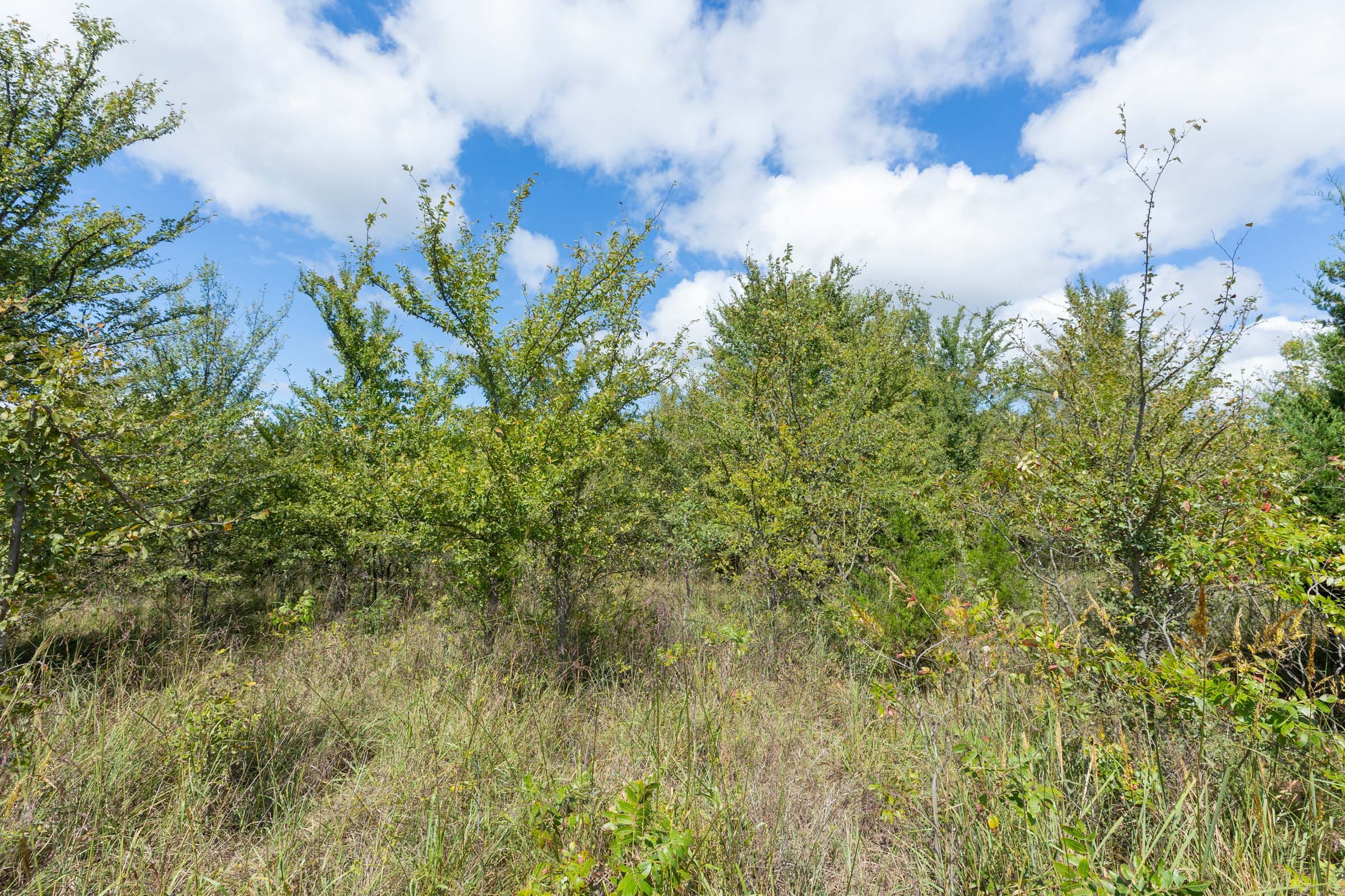 Reserves At Cattail Cove Phase II Tract 100 photo 10