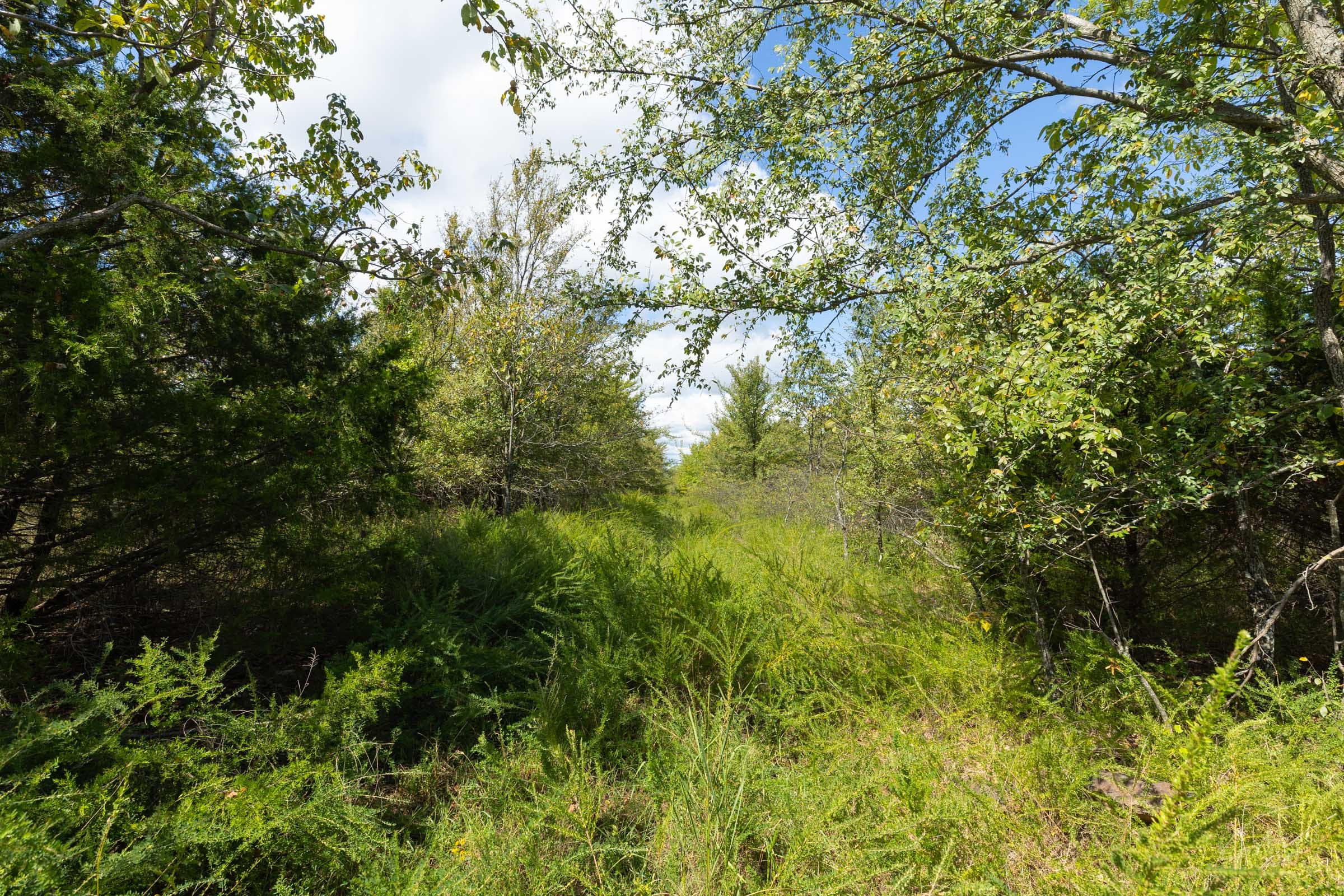 Reserves At Cattail Cove Phase II Tract 100 photo 9