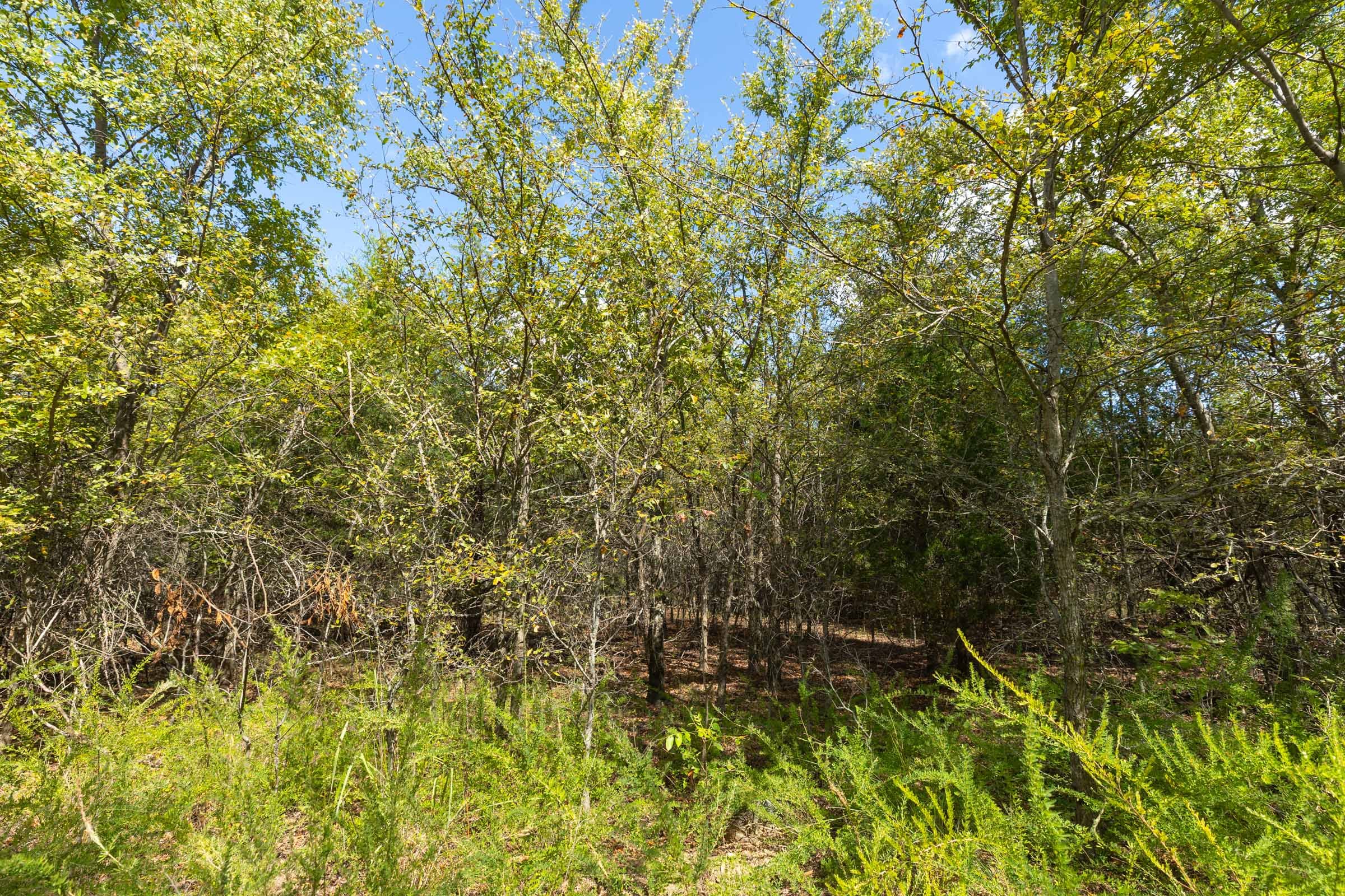Reserves At Cattail Cove Phase II Tract 100 photo 8