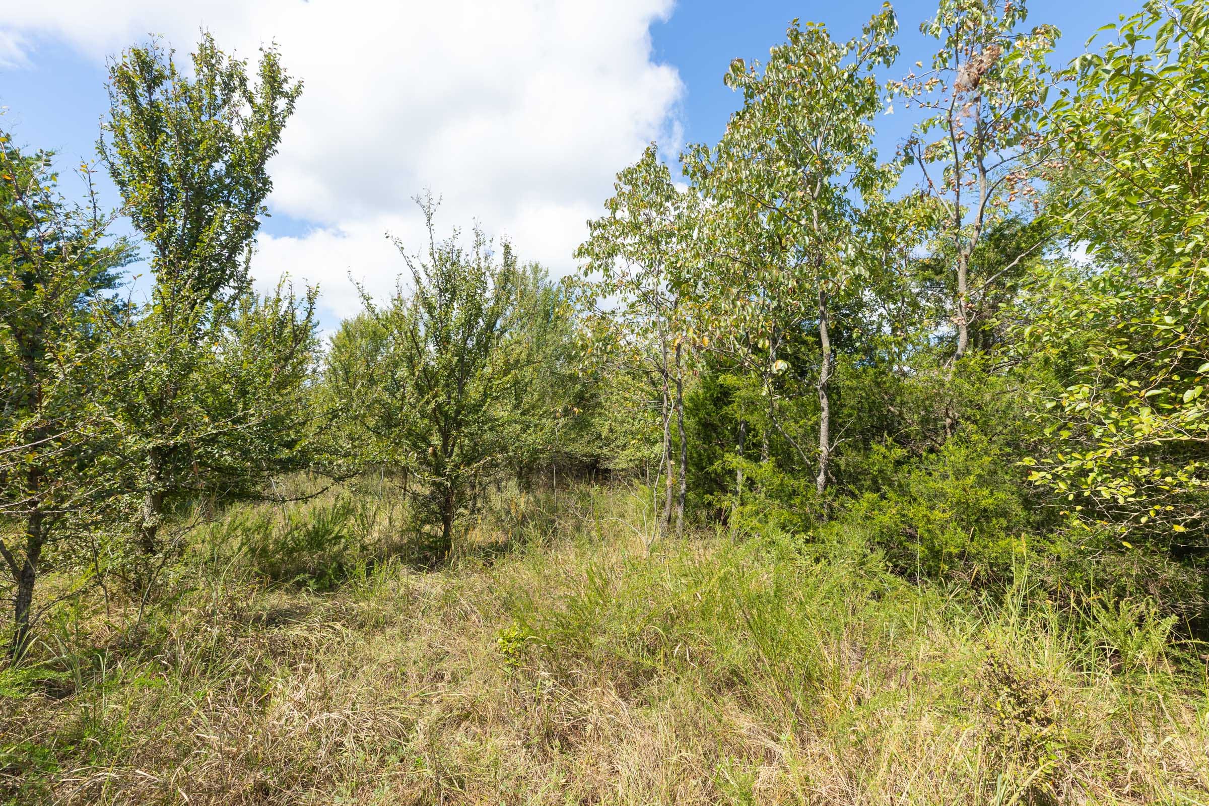 Reserves At Cattail Cove Phase II Tract 100 photo 6