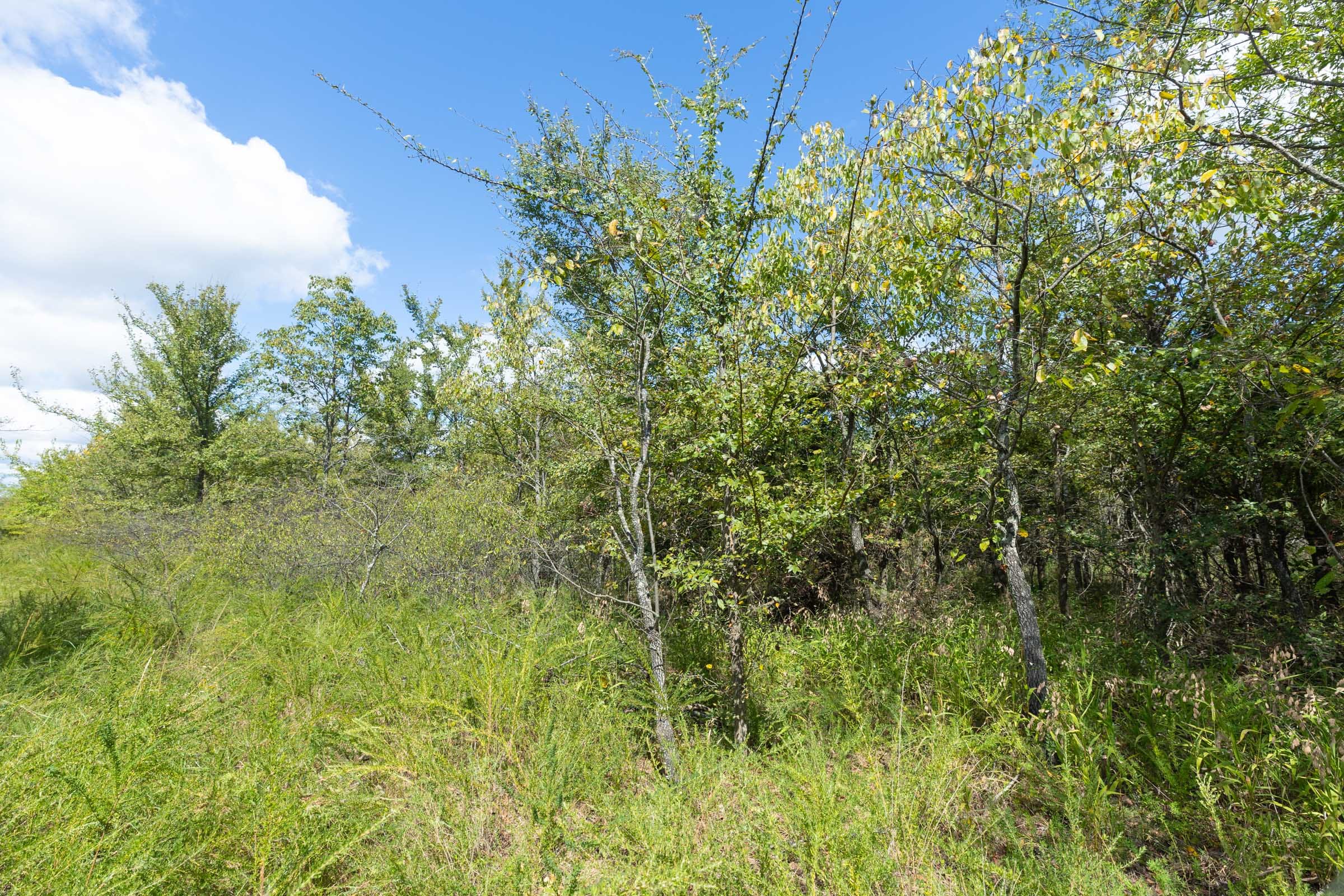 Reserves At Cattail Cove Phase II Tract 100 photo 5