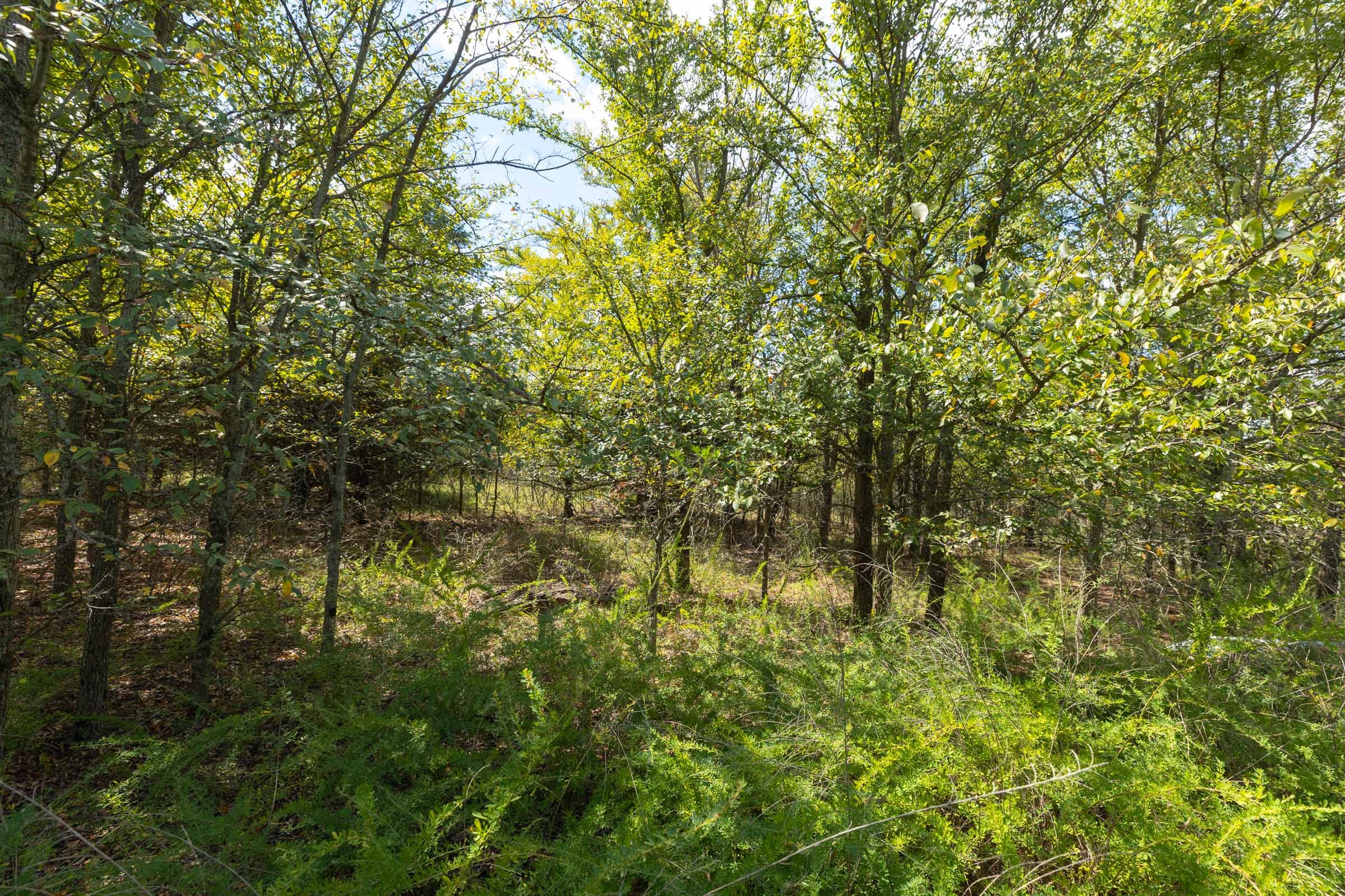 Reserves At Cattail Cove Phase II Tract 100 photo 4