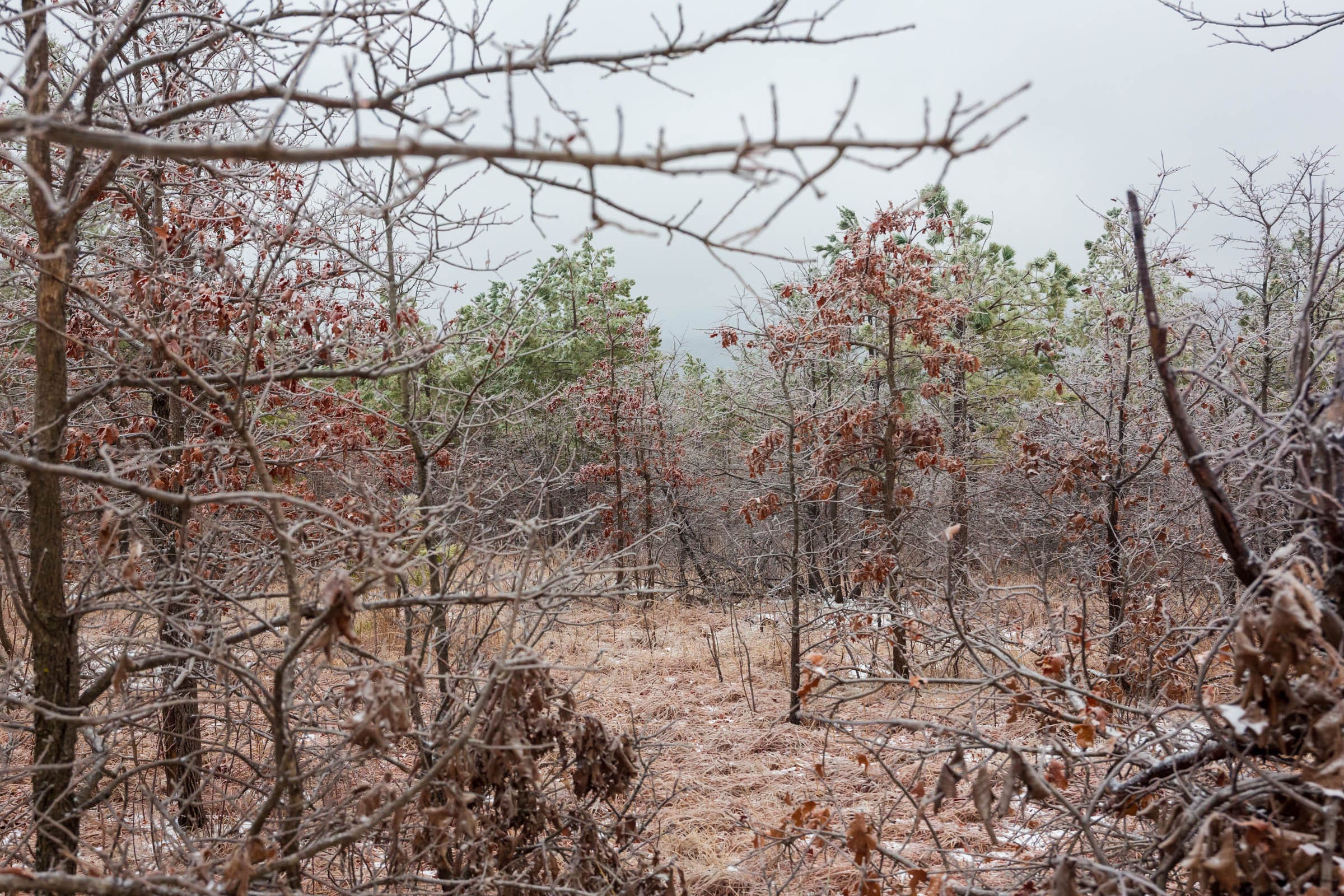 Stone Bridge Phase IV Tract 285 photo 9