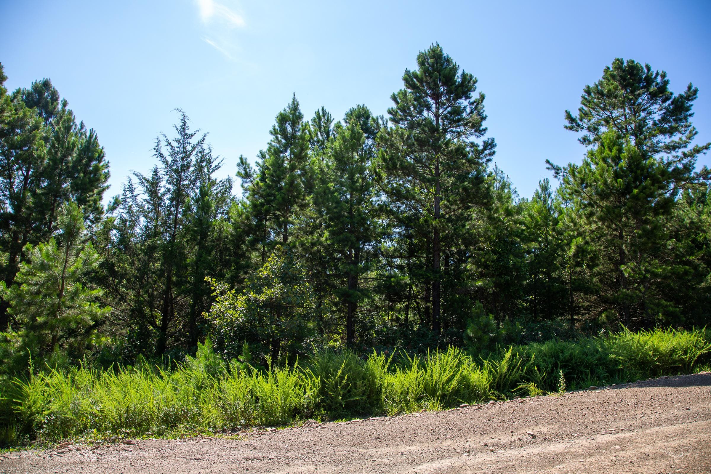Tyler Stone Ranch Tract 4 photo 2