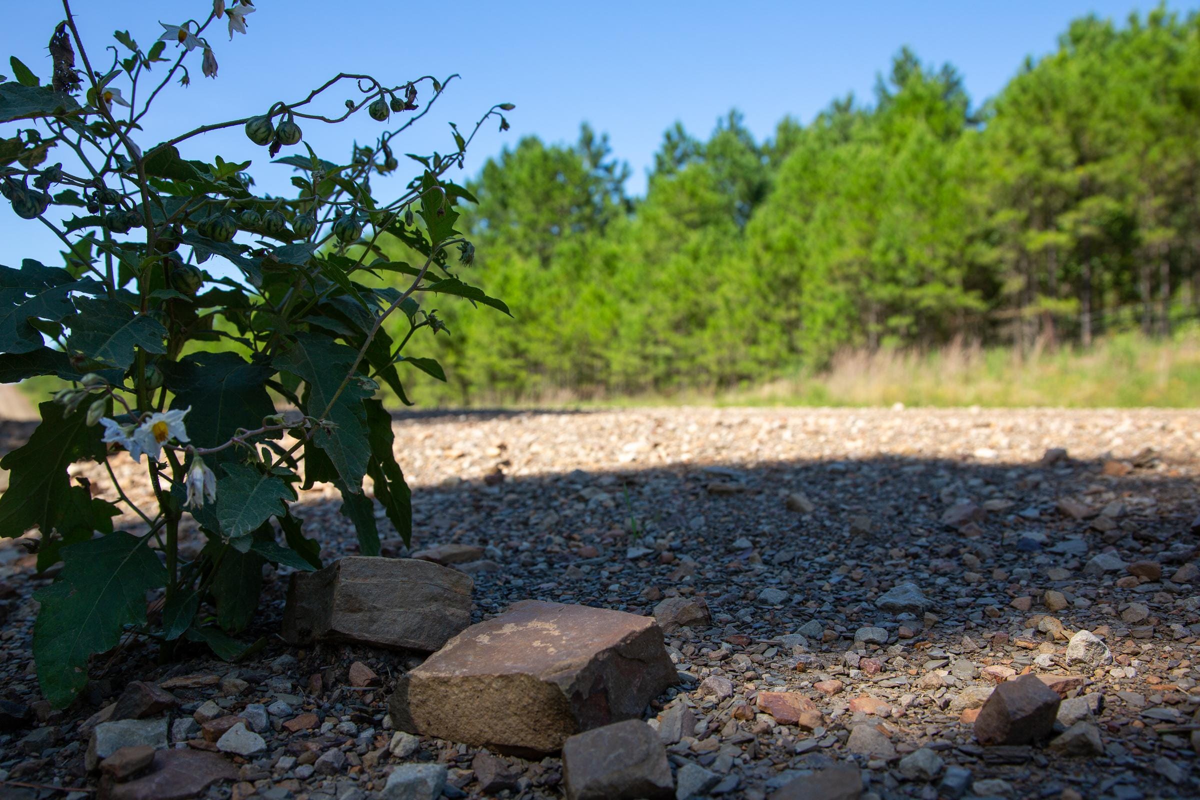 Tyler Stone Ranch Tract 4 photo 4