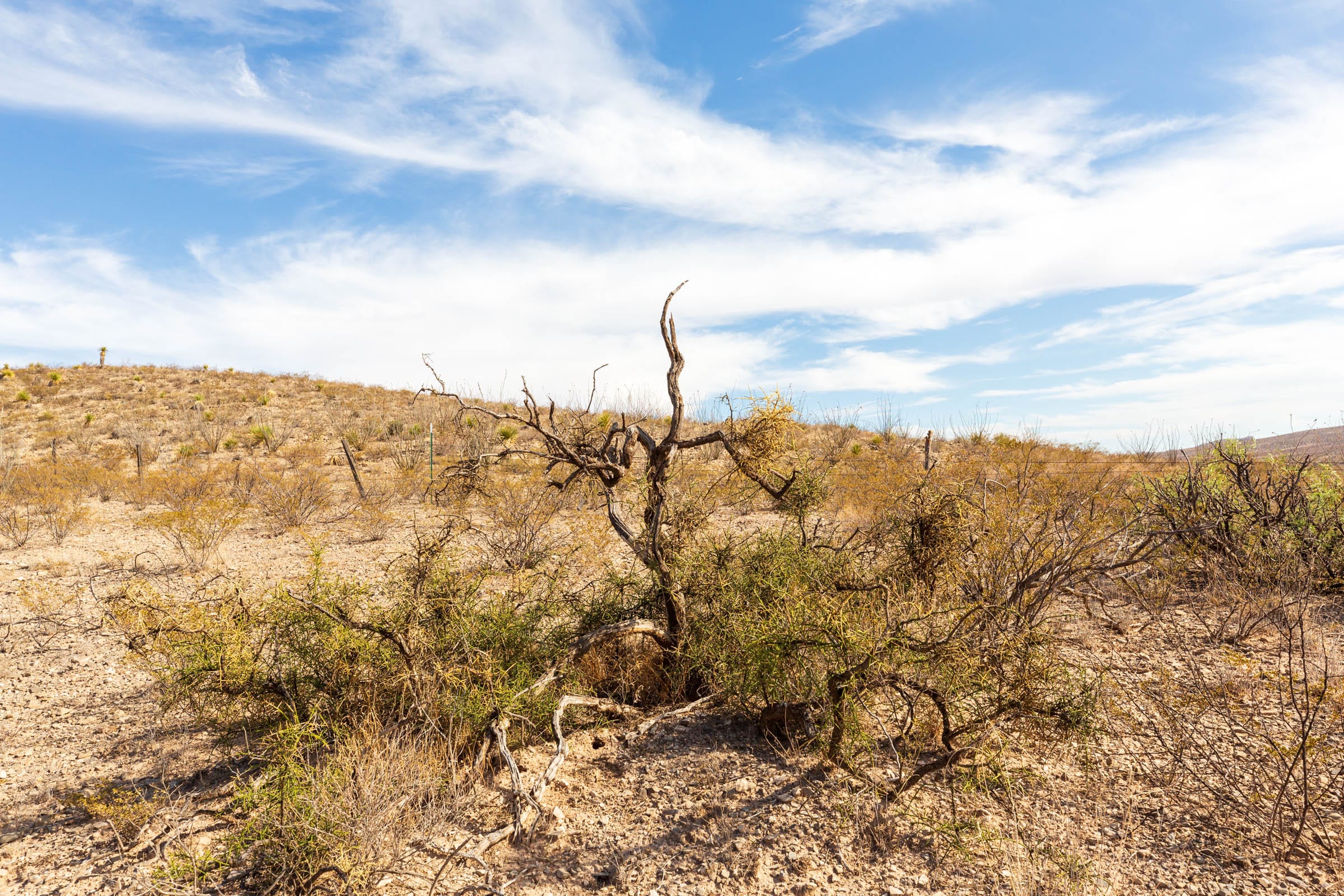 Sunrise Ranches Phase III Tract 117 photo 13