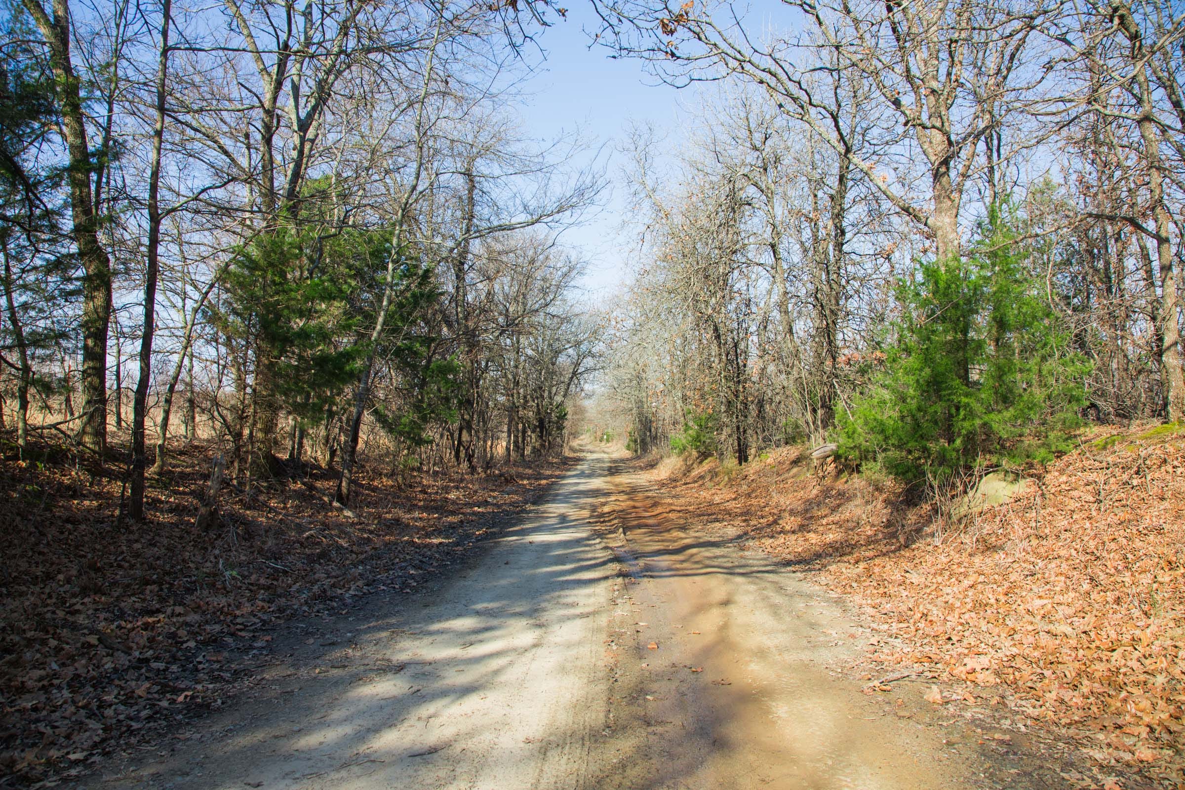 Eufaula Cove Tract 20 photo 10