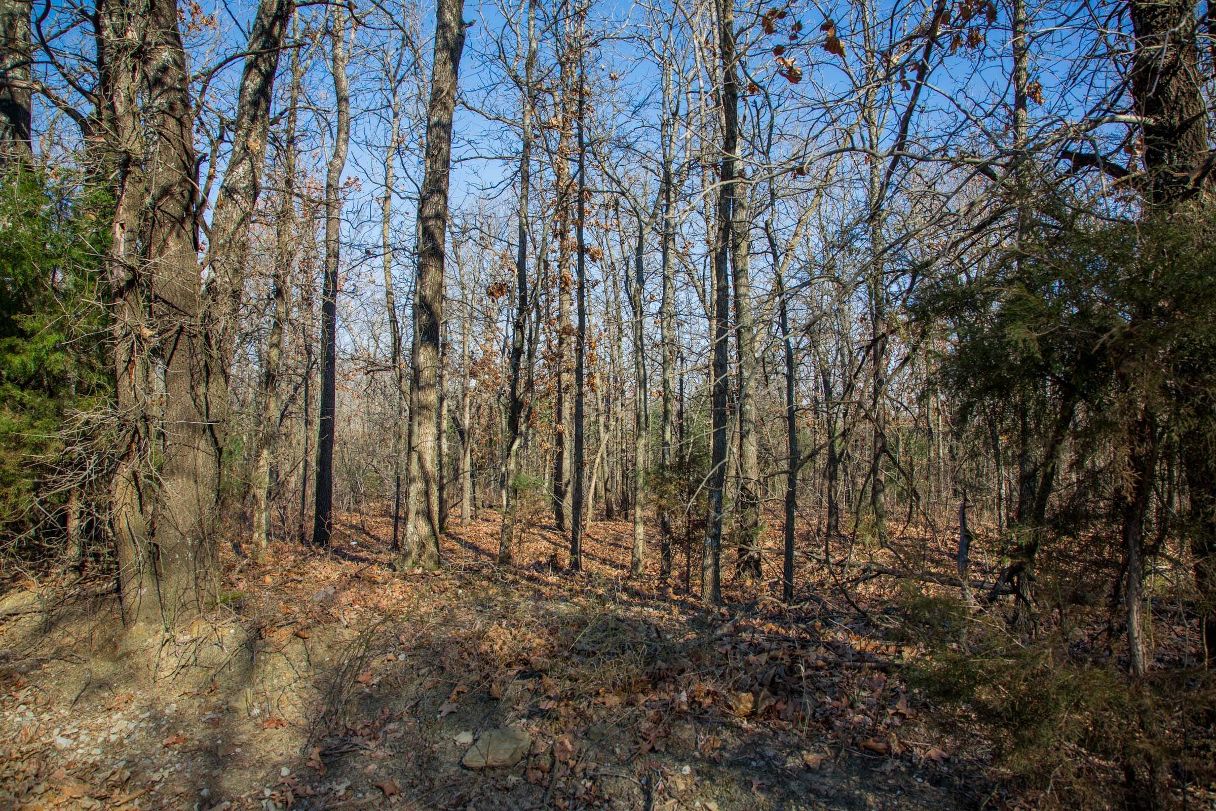 Eufaula Cove Tract 20 photo 15