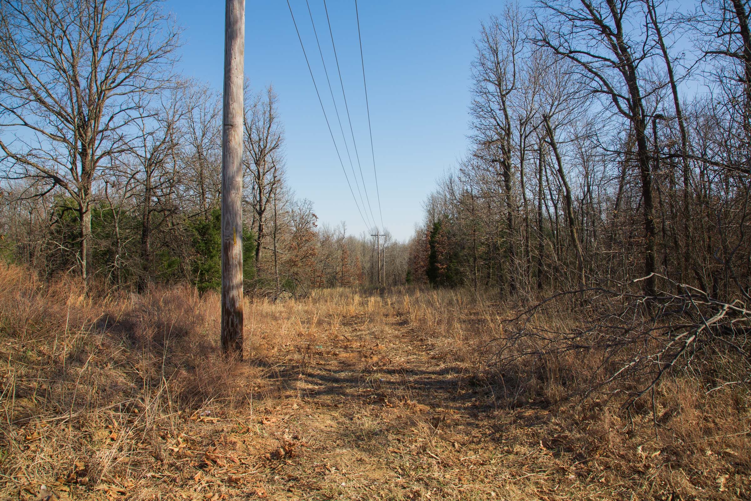 Eufaula Cove Tract 20 photo 16
