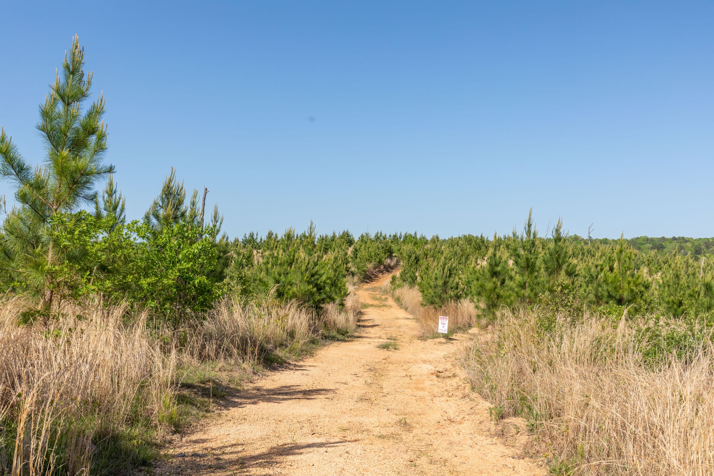 Clear Wood Tract 26 photo 1