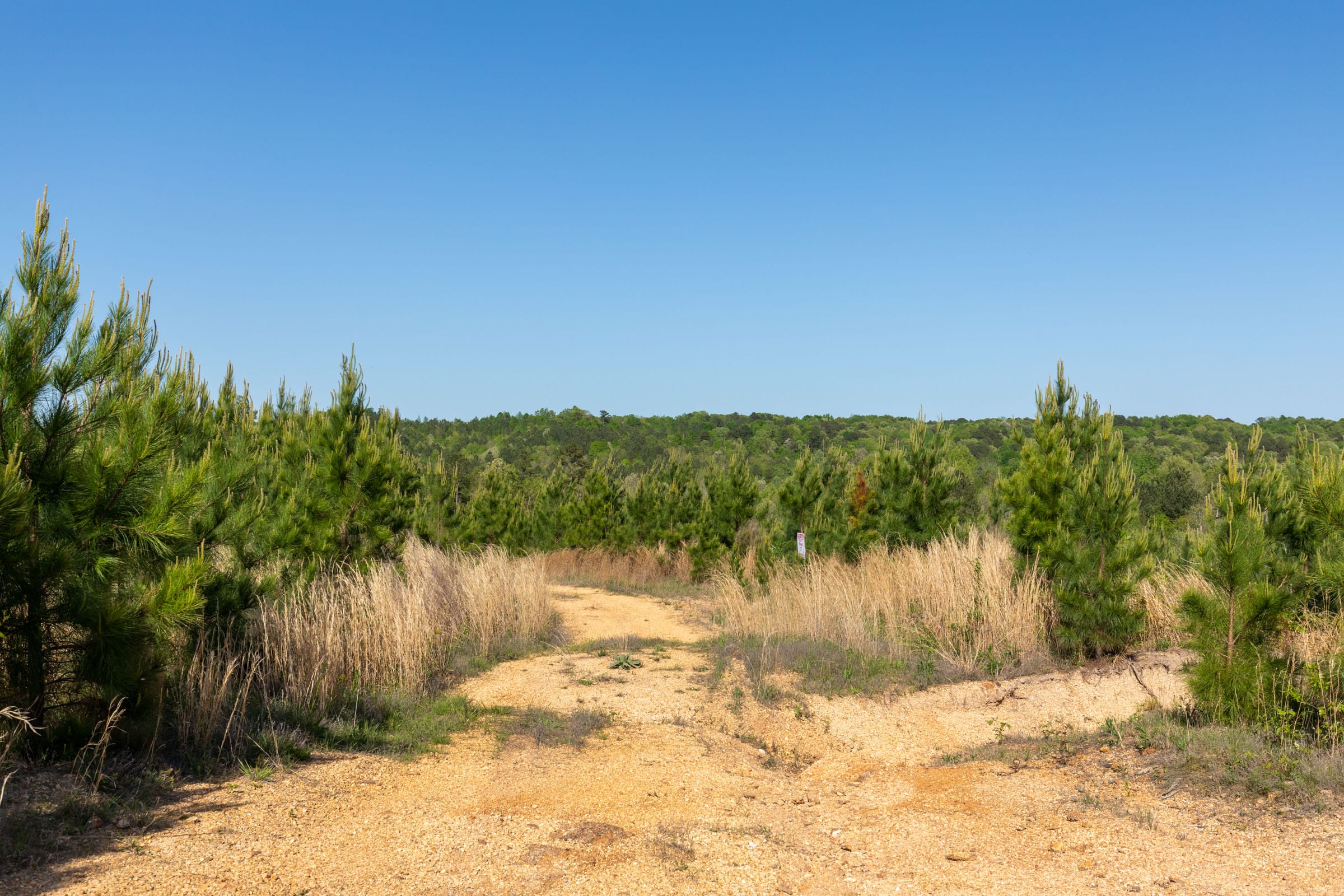 Clear Wood Tract 26 photo 11