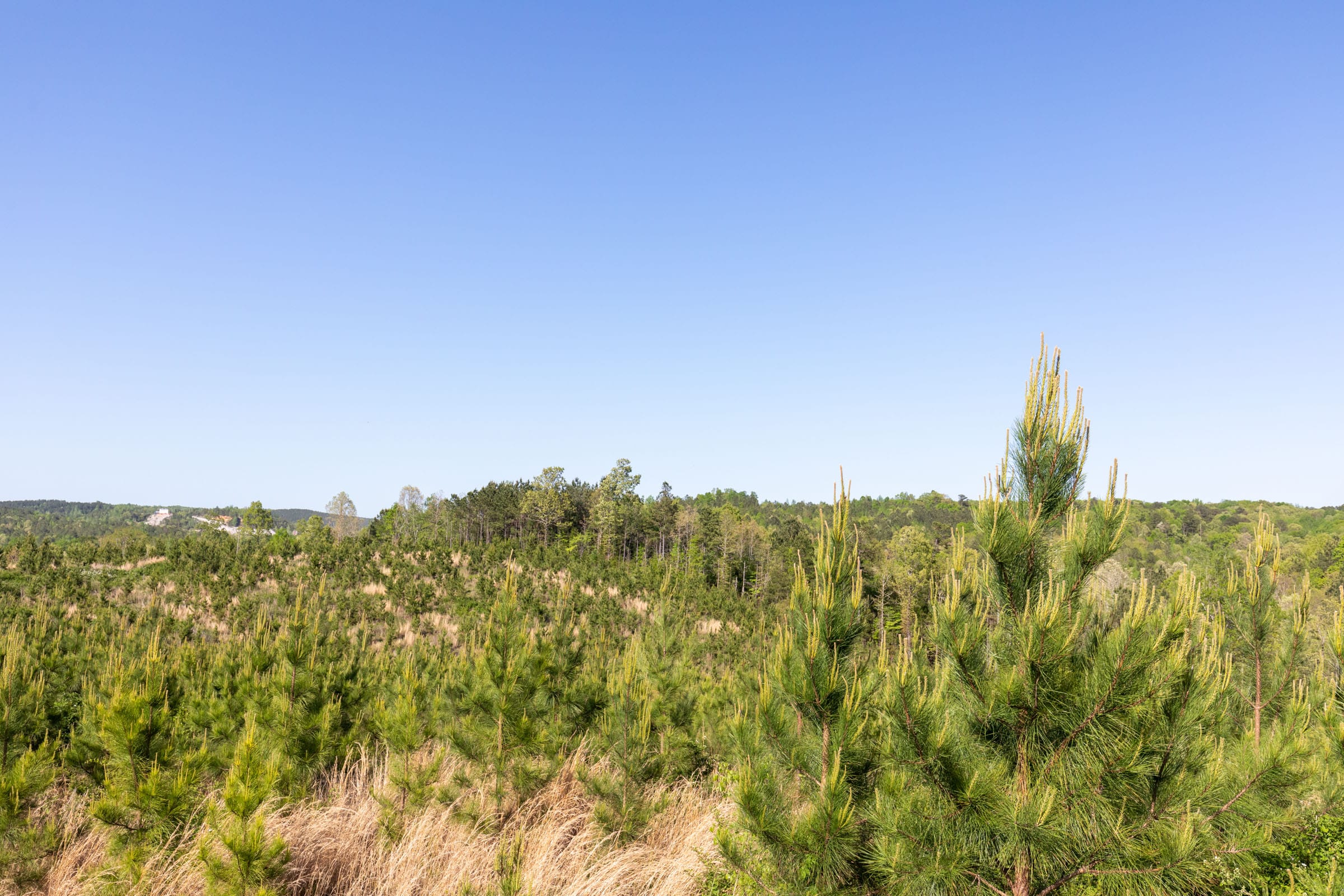 Clear Wood Tract 26 photo 17