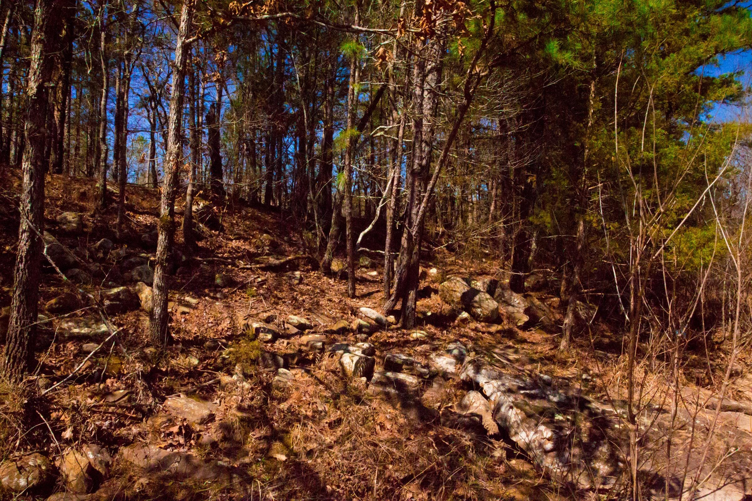 Stone Creek Phase II Tract 135 photo 8