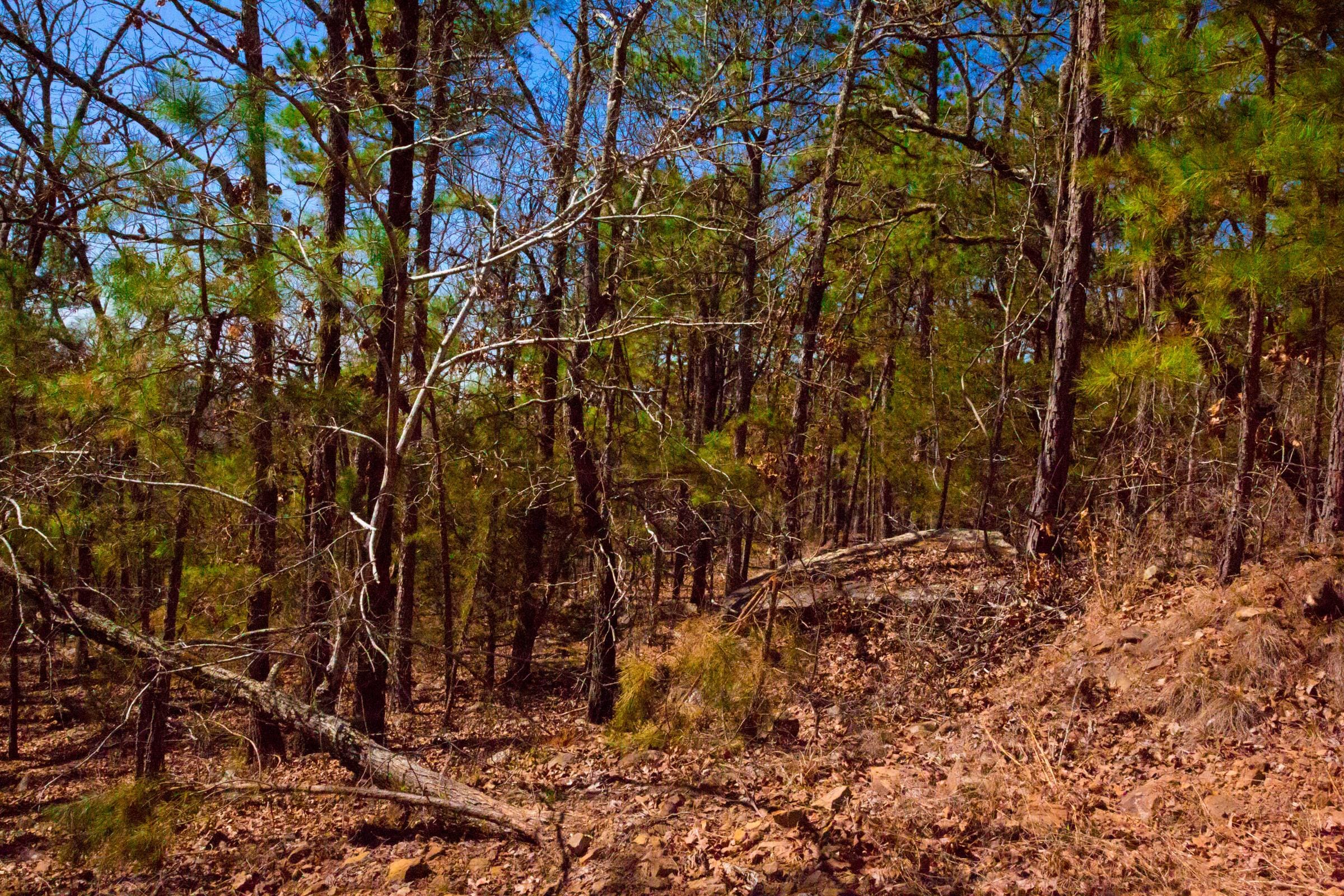 Stone Creek Phase II Tract 135 photo 5