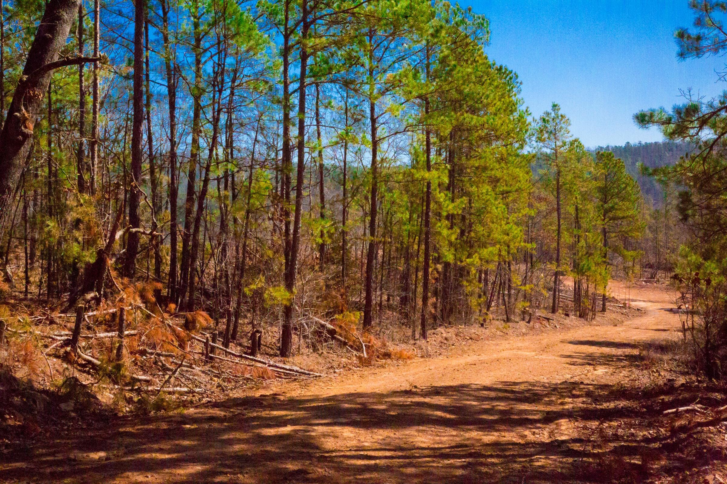 Stone Creek Phase II Tract 135 photo 6