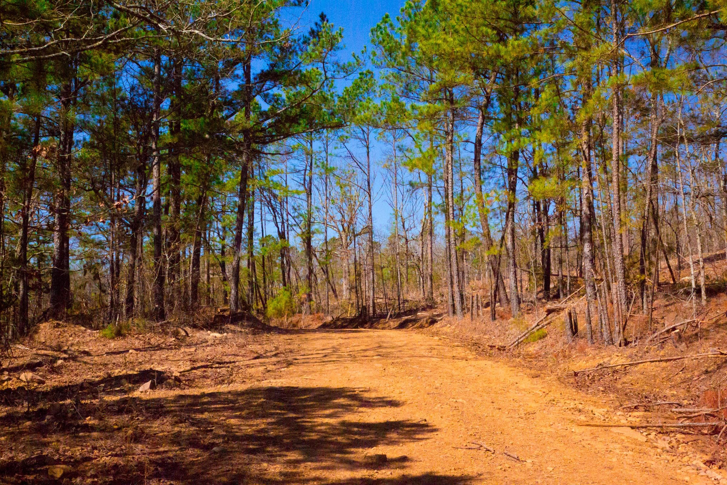 Stone Creek Phase II Tract 135 photo 2