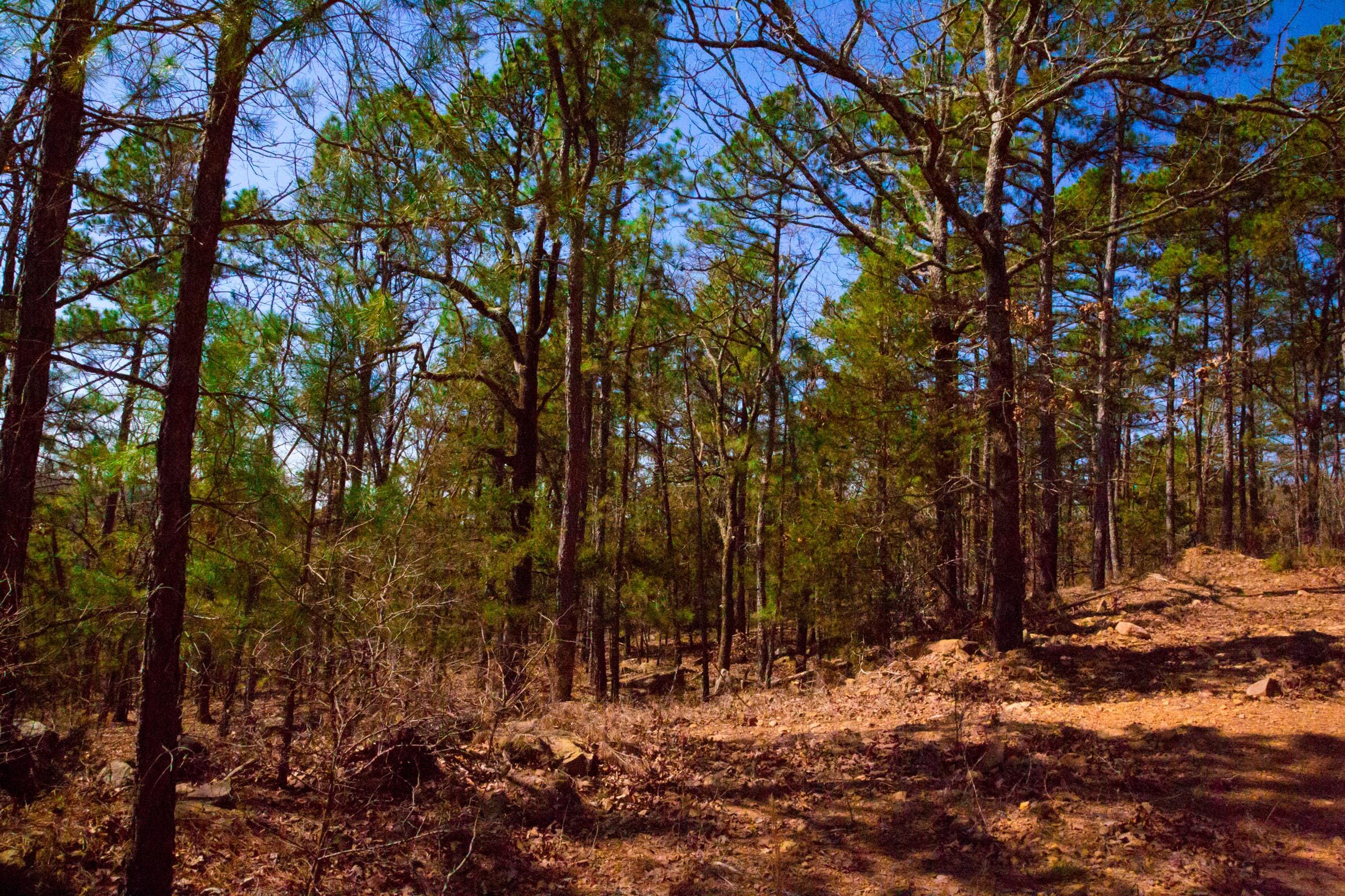 Stone Creek Phase II Tract 135 photo 7