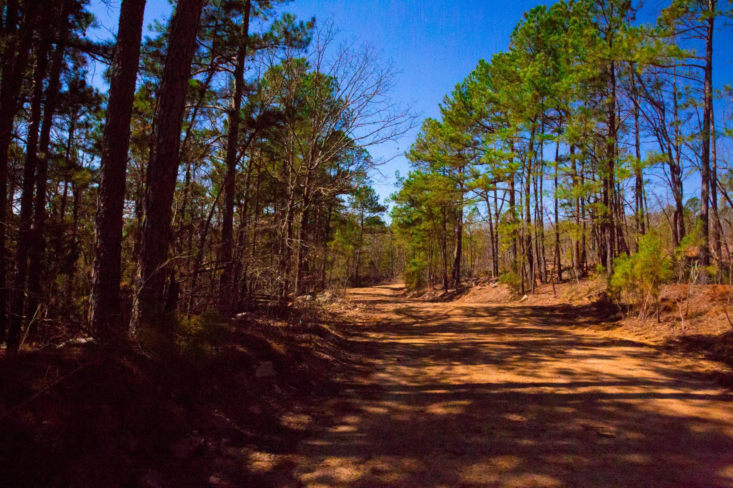 Stone Creek Phase II Tract 135 photo 10