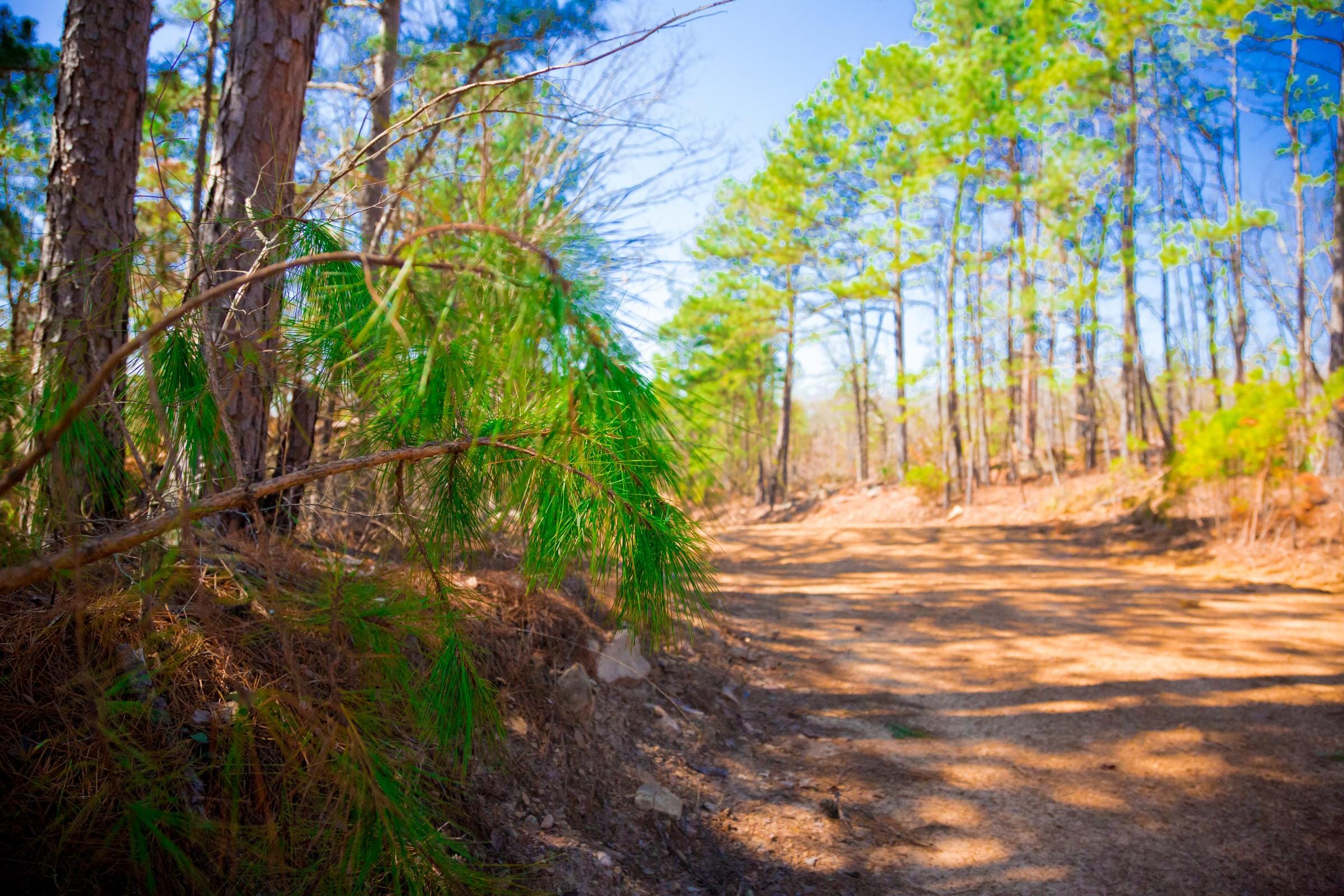 Stone Creek Phase II Tract 135 photo 11
