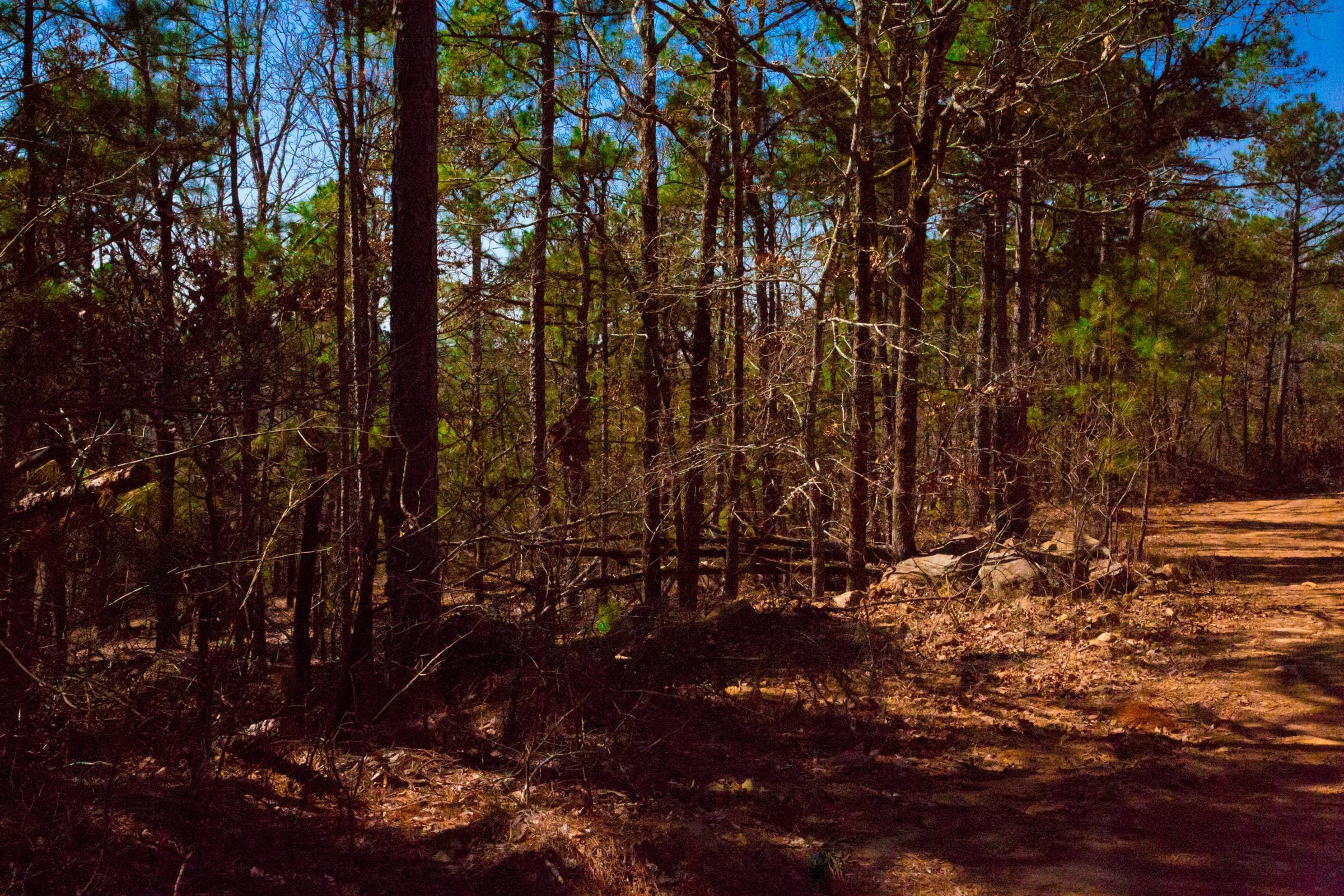 Stone Creek Phase II Tract 135 photo 13