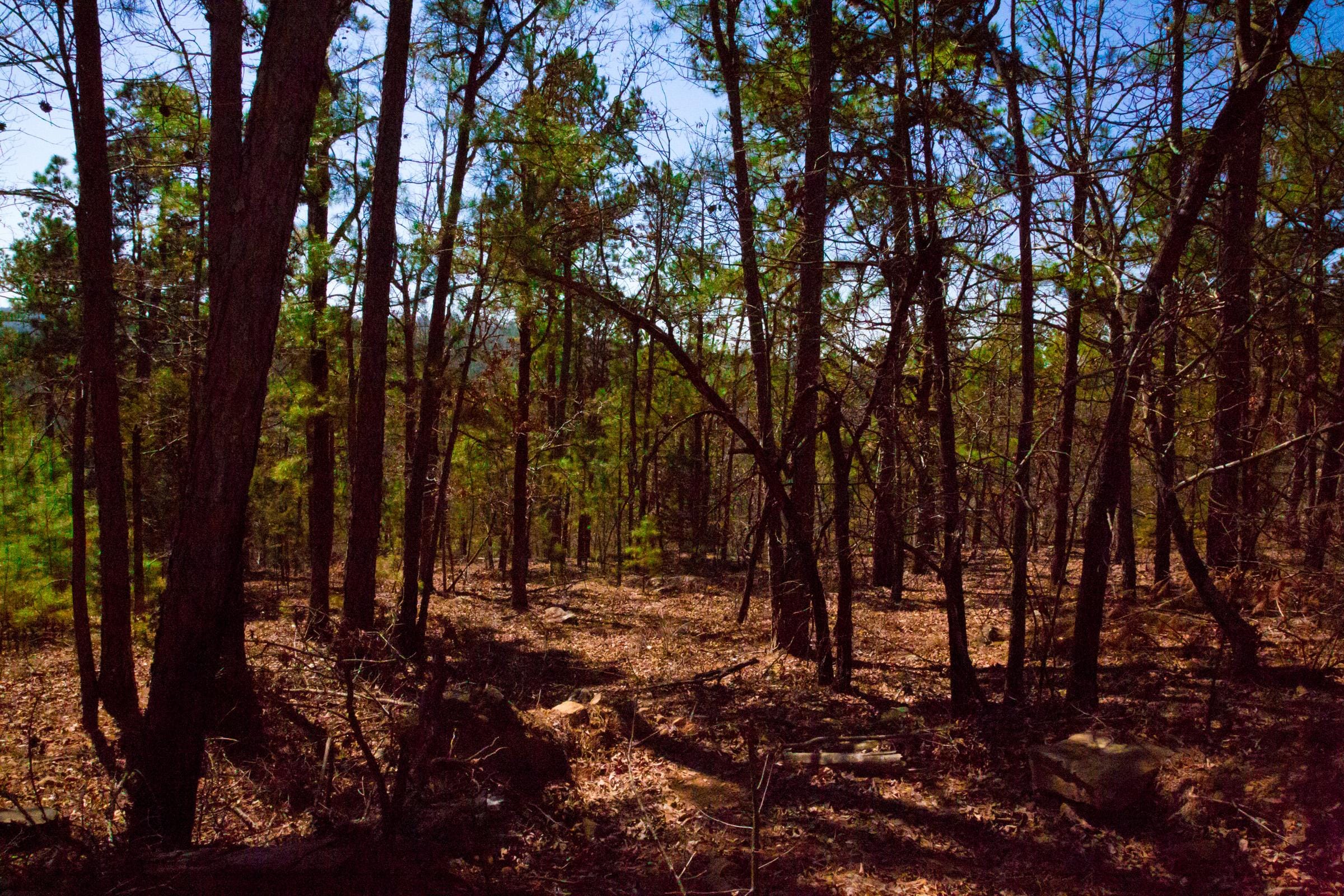 Stone Creek Phase II Tract 135 photo 15