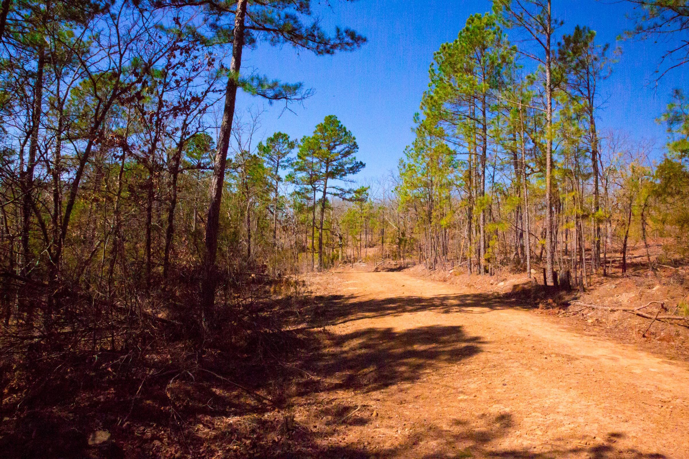 Stone Creek Phase II Tract 135 photo 16