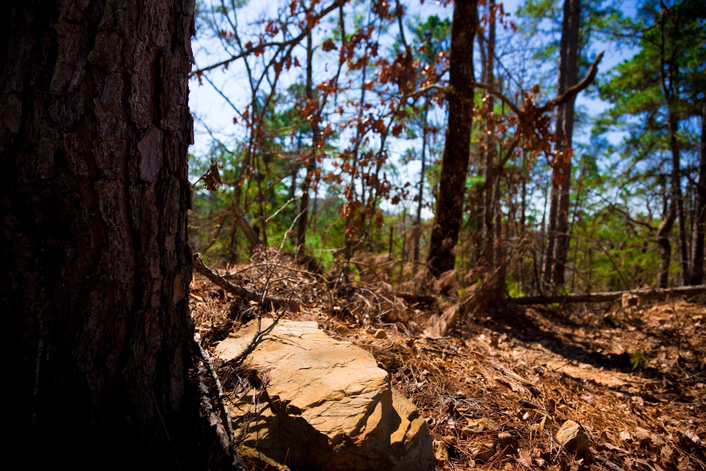 Stone Creek Phase II Tract 135 photo 17