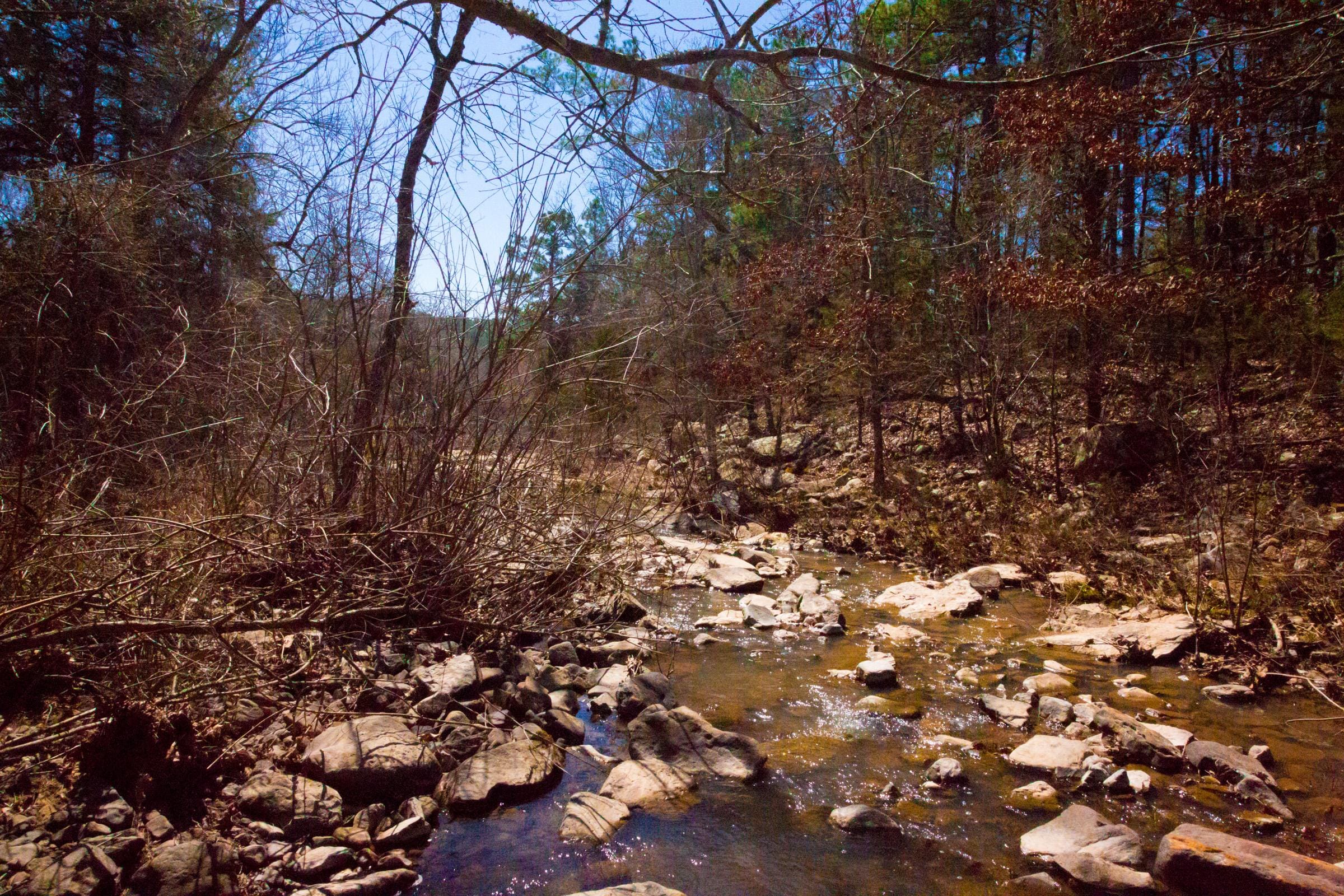 Stone Creek Phase II Tract 135 photo 18