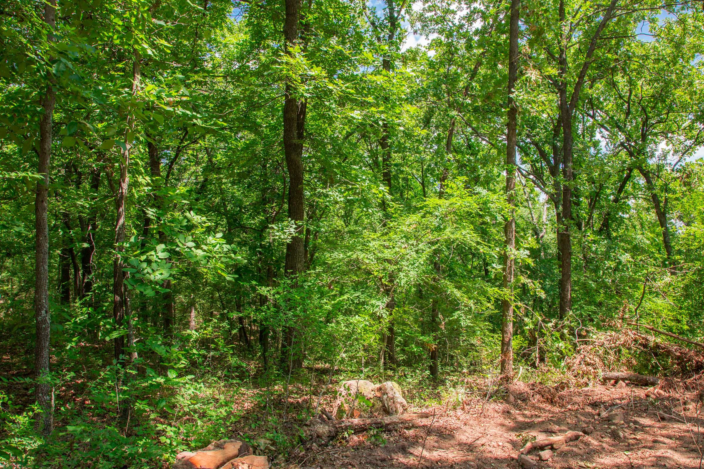 Deep Fork Ranch Tract 7 photo 6