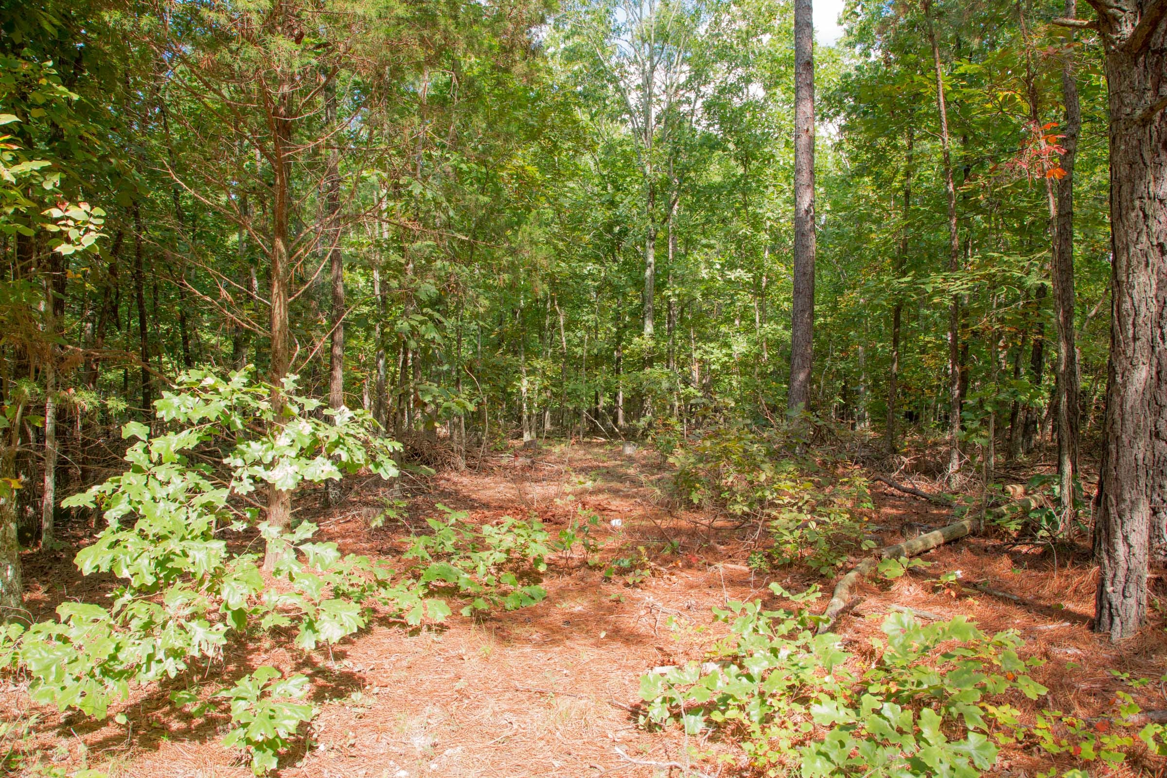 Wagon Wheel Ranch Tract 2 photo 2