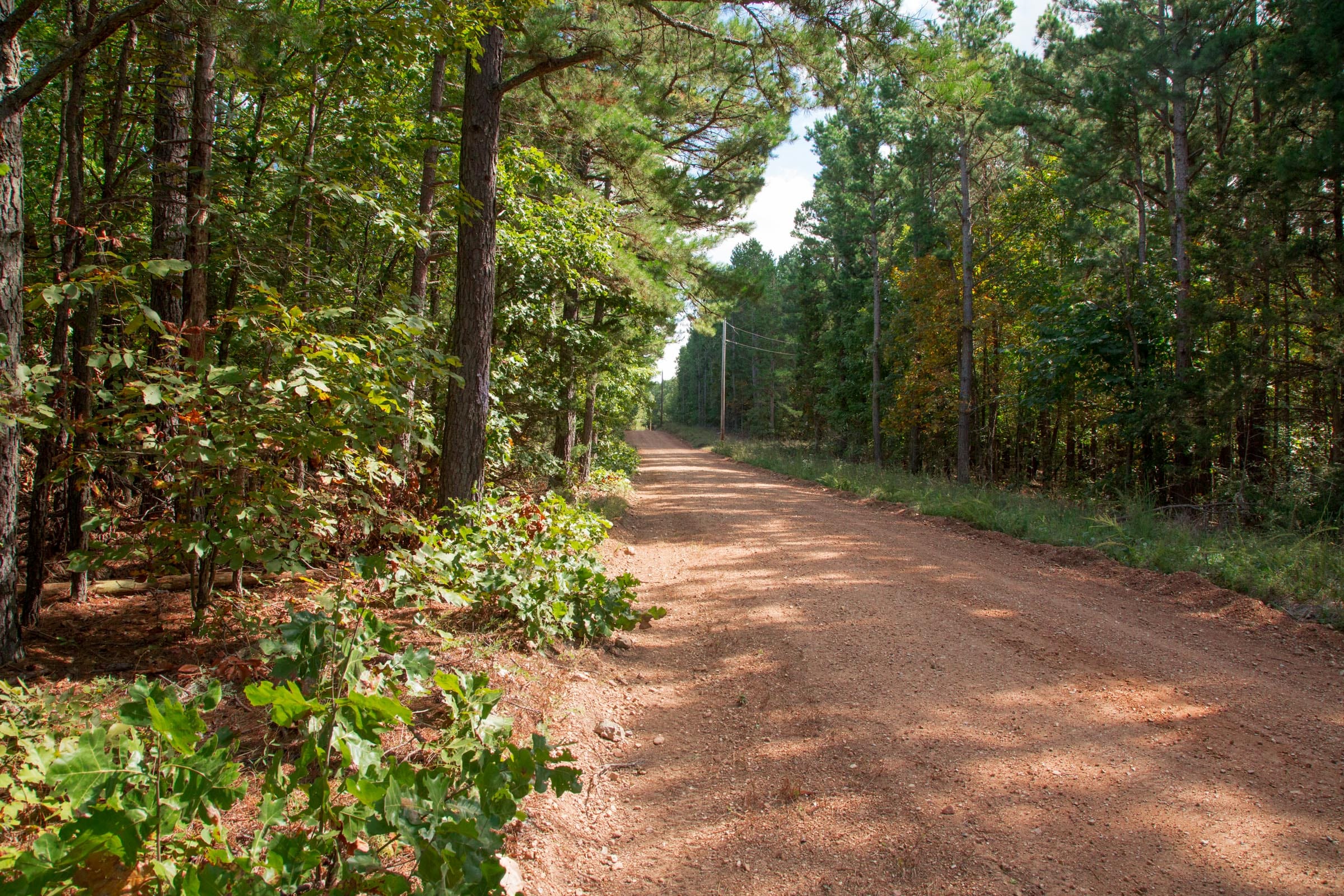 Wagon Wheel Ranch Tract 2 photo 3