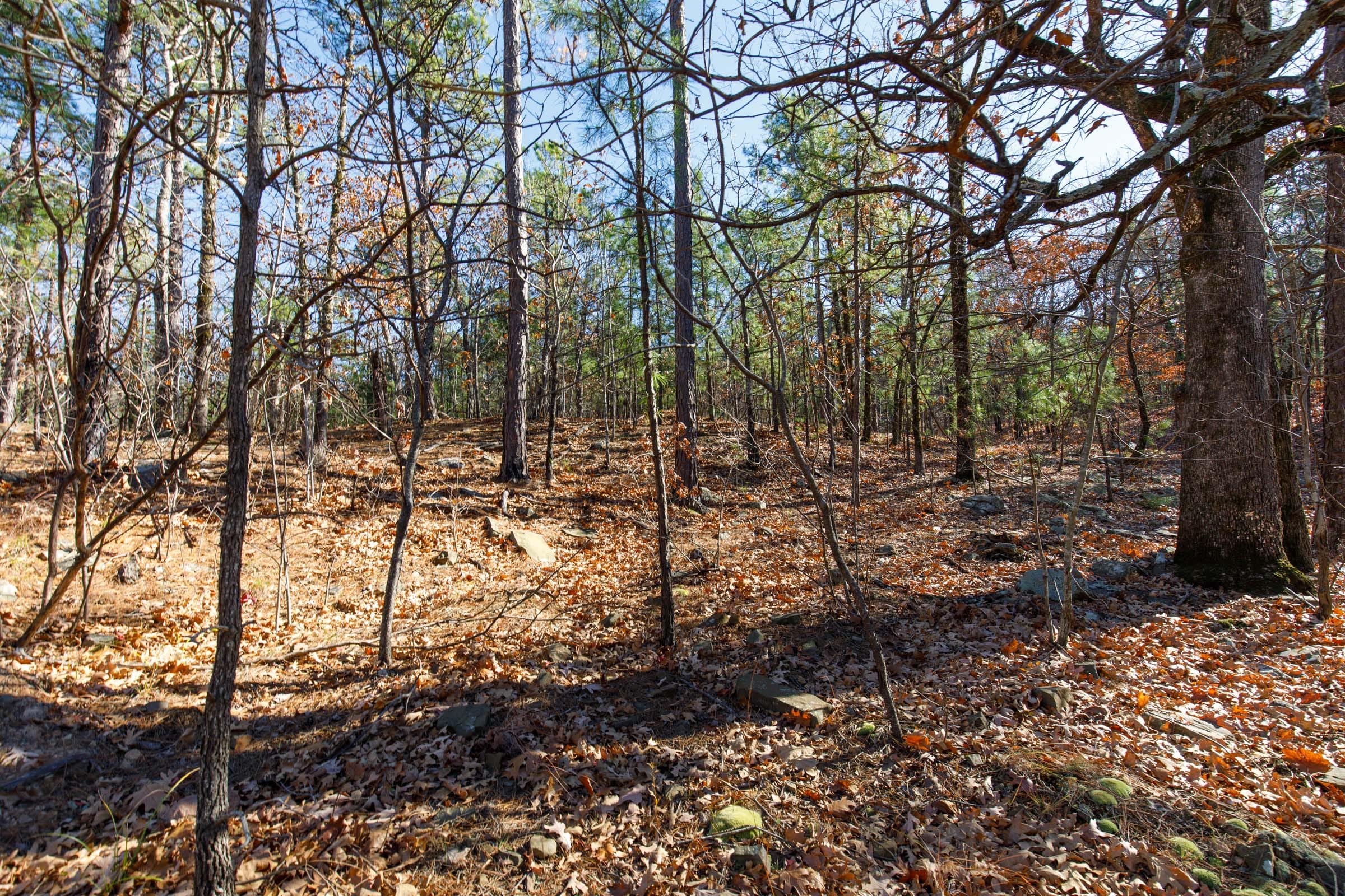 Stone Bridge Phase II Tract 134 photo 2