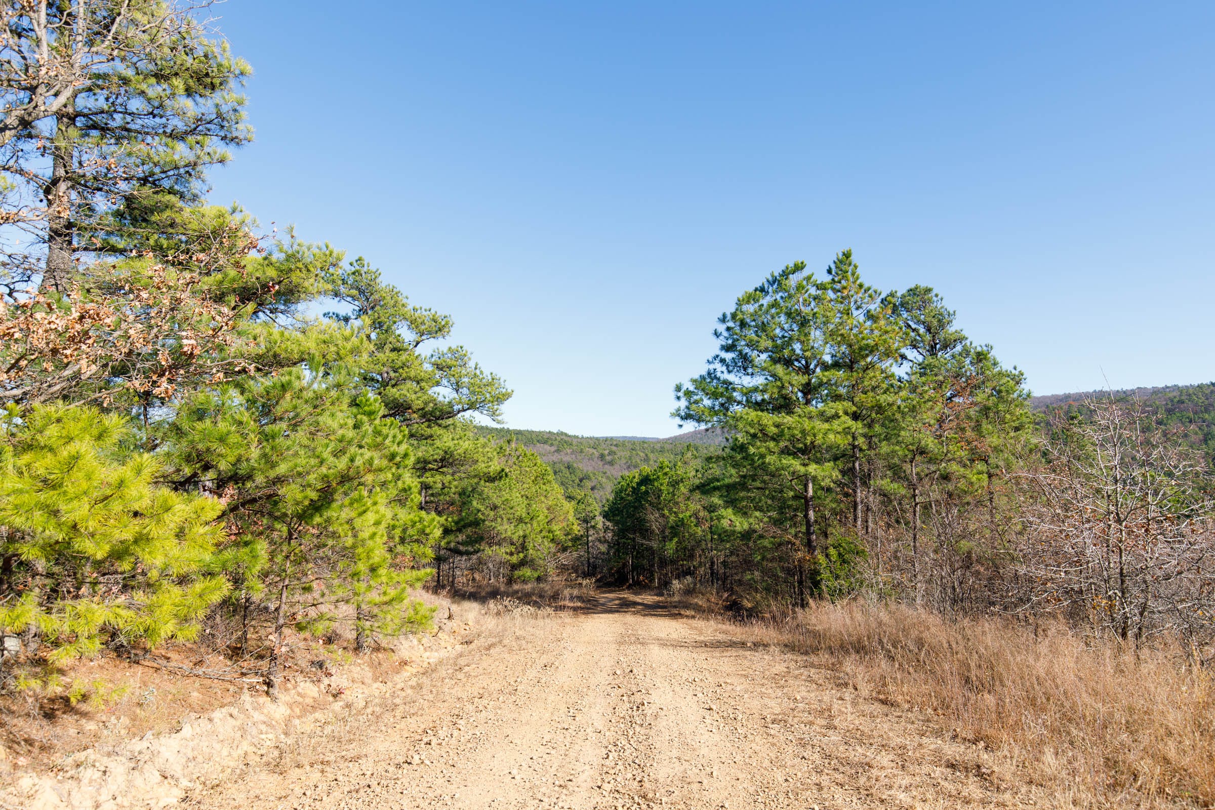 Stone Bridge Phase II Tract 134 photo 1
